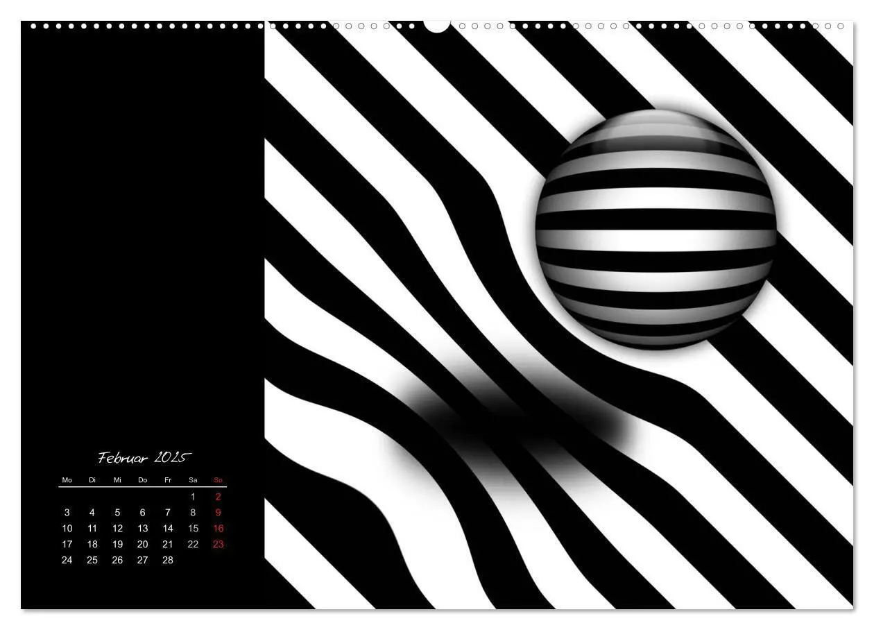 Bild: 9783435794522 | Schwarz trifft Weiß (Wandkalender 2025 DIN A2 quer), CALVENDO...