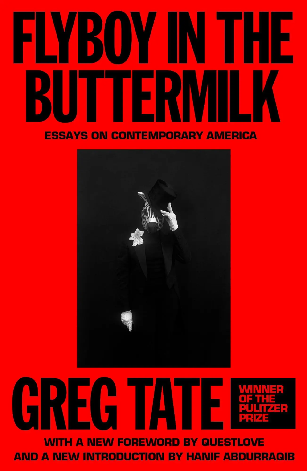 Cover: 9780374394622 | Flyboy in the Buttermilk | Greg Tate | Taschenbuch | AUWA | Englisch