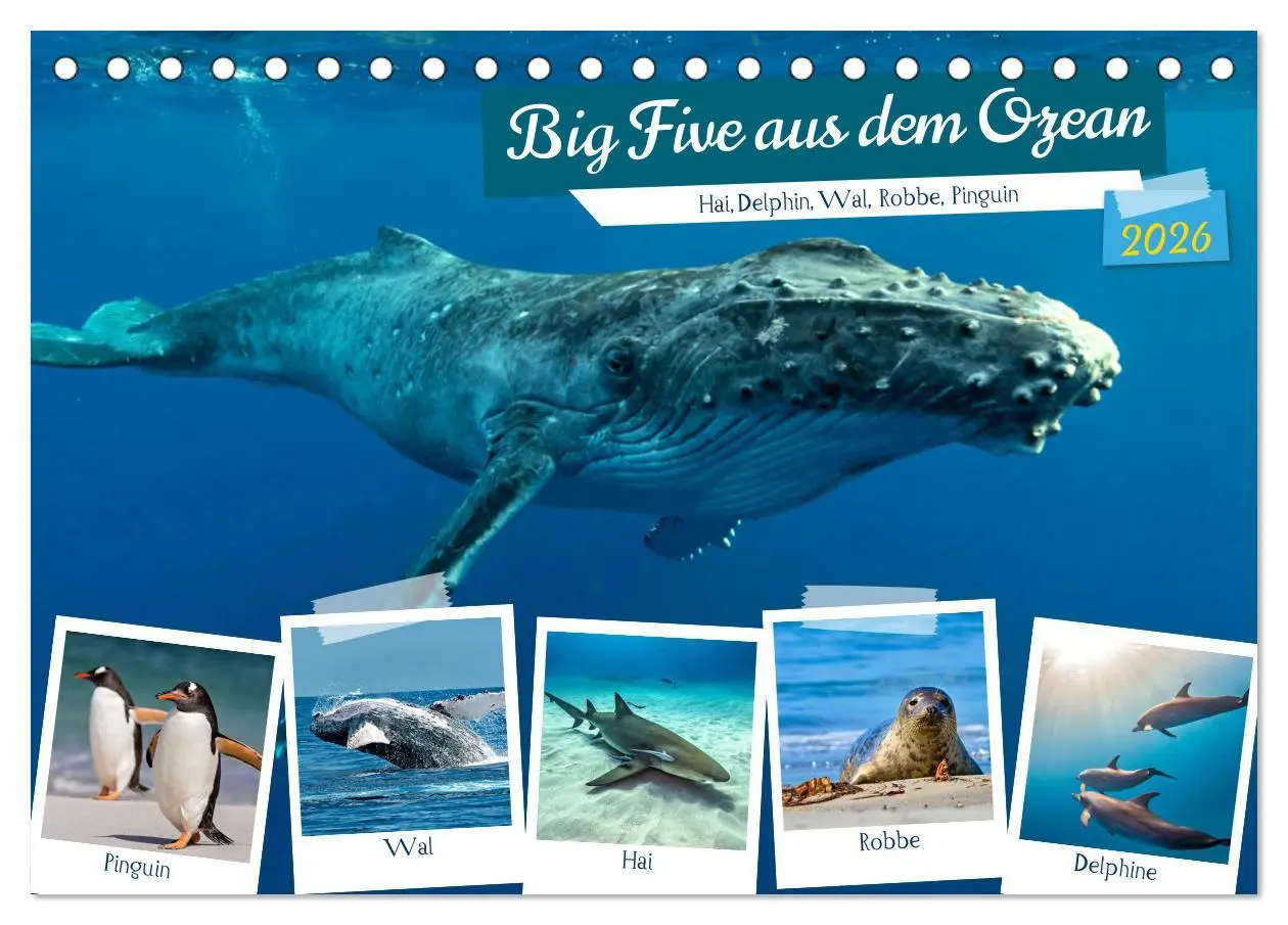Cover: 9783457494622 | Big Five aus dem Ozean Hai, Delphin, Wal, Robbe, Pinguin...