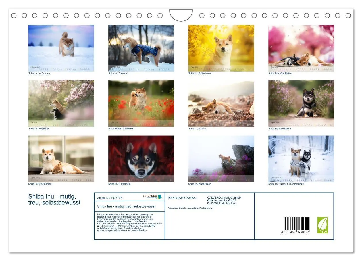 Bild: 9783457634622 | Shiba Inu - mutig, treu, selbstbewusst (Wandkalender 2026 DIN A4...