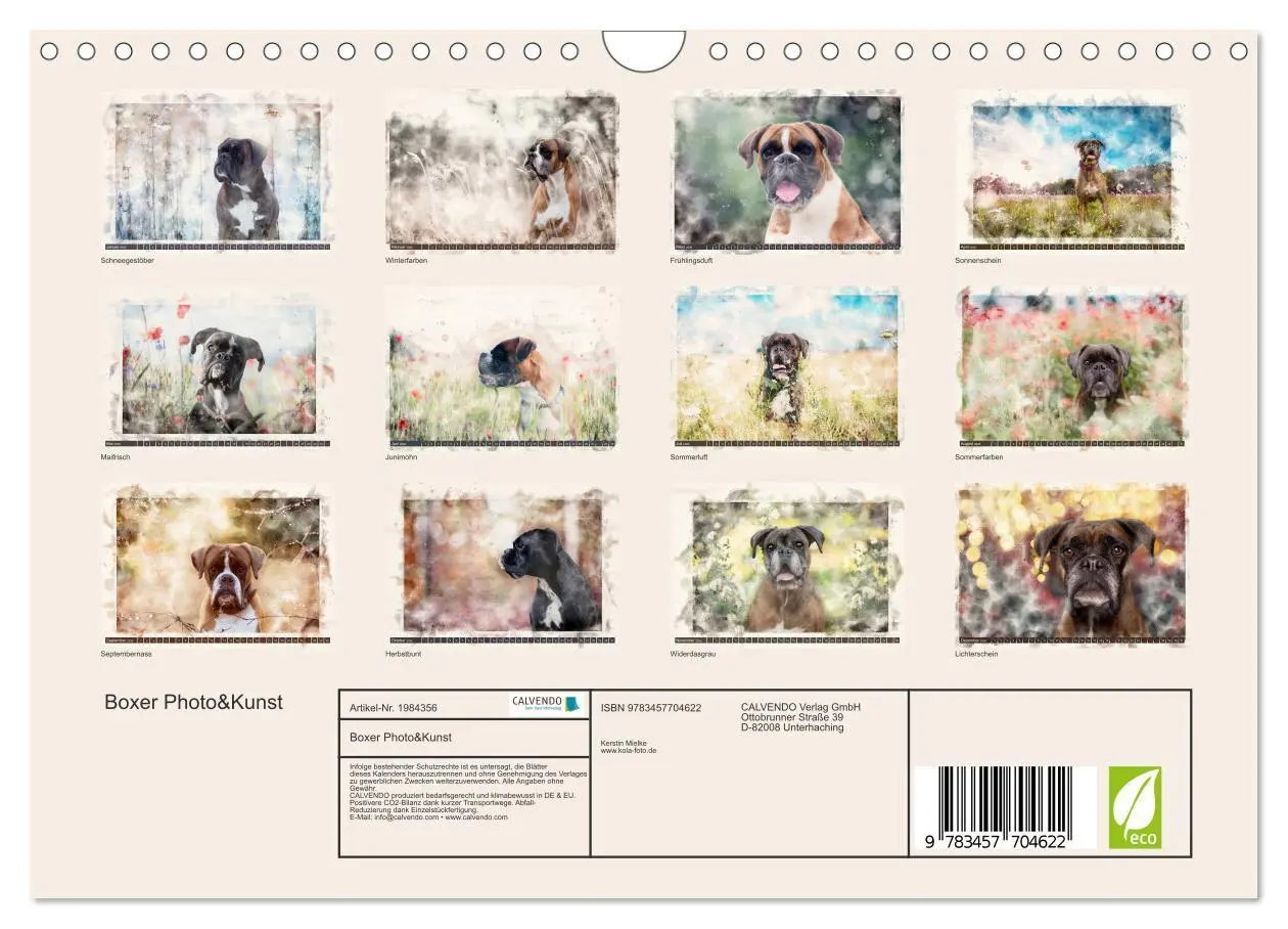 Bild: 9783457704622 | Boxer Photo&amp;Kunst (Wandkalender 2026 DIN A4 quer), CALVENDO...