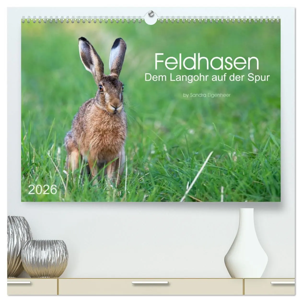 Cover: 9783516034622 | Feldhasen - dem Langohr auf der Spur (hochwertiger Premium...
