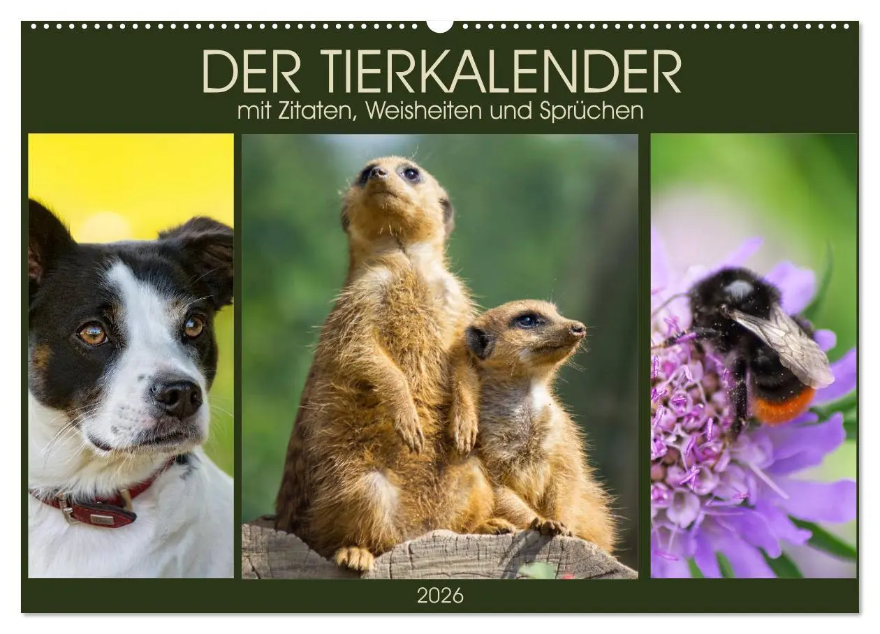 Cover: 9783516104622 | Der Tierkalender mit Zitaten, Weisheiten und Sprüchen (Wandkalender...