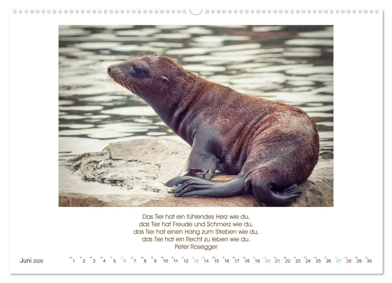 Bild: 9783516104622 | Der Tierkalender mit Zitaten, Weisheiten und Sprüchen (Wandkalender...
