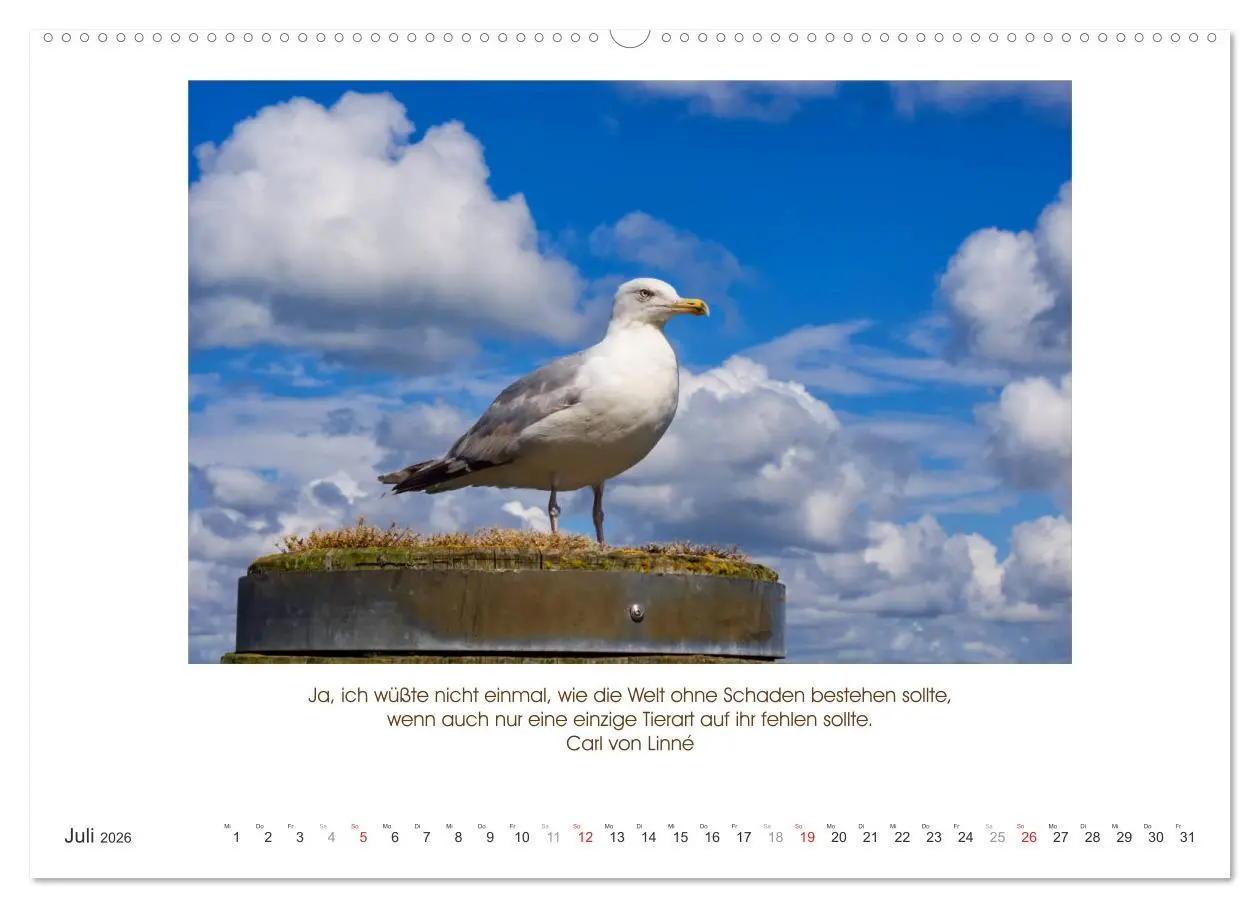 Bild: 9783516104622 | Der Tierkalender mit Zitaten, Weisheiten und Sprüchen (Wandkalender...