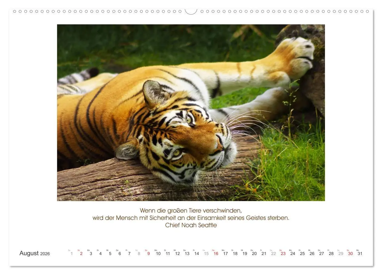 Bild: 9783516104622 | Der Tierkalender mit Zitaten, Weisheiten und Sprüchen (Wandkalender...