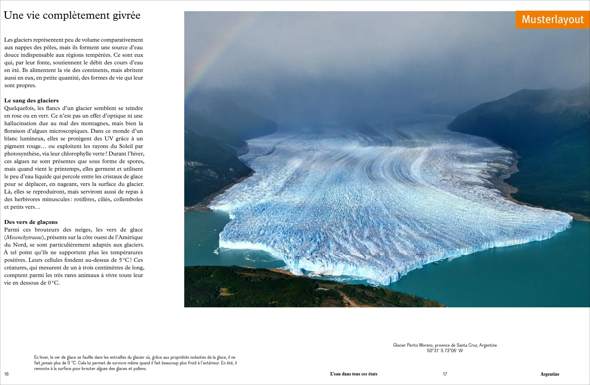 Bild: 9783954164622 | Das Wasser der Erde | Yann Arthus-Bertrand (u. a.) | Buch | 256 S.