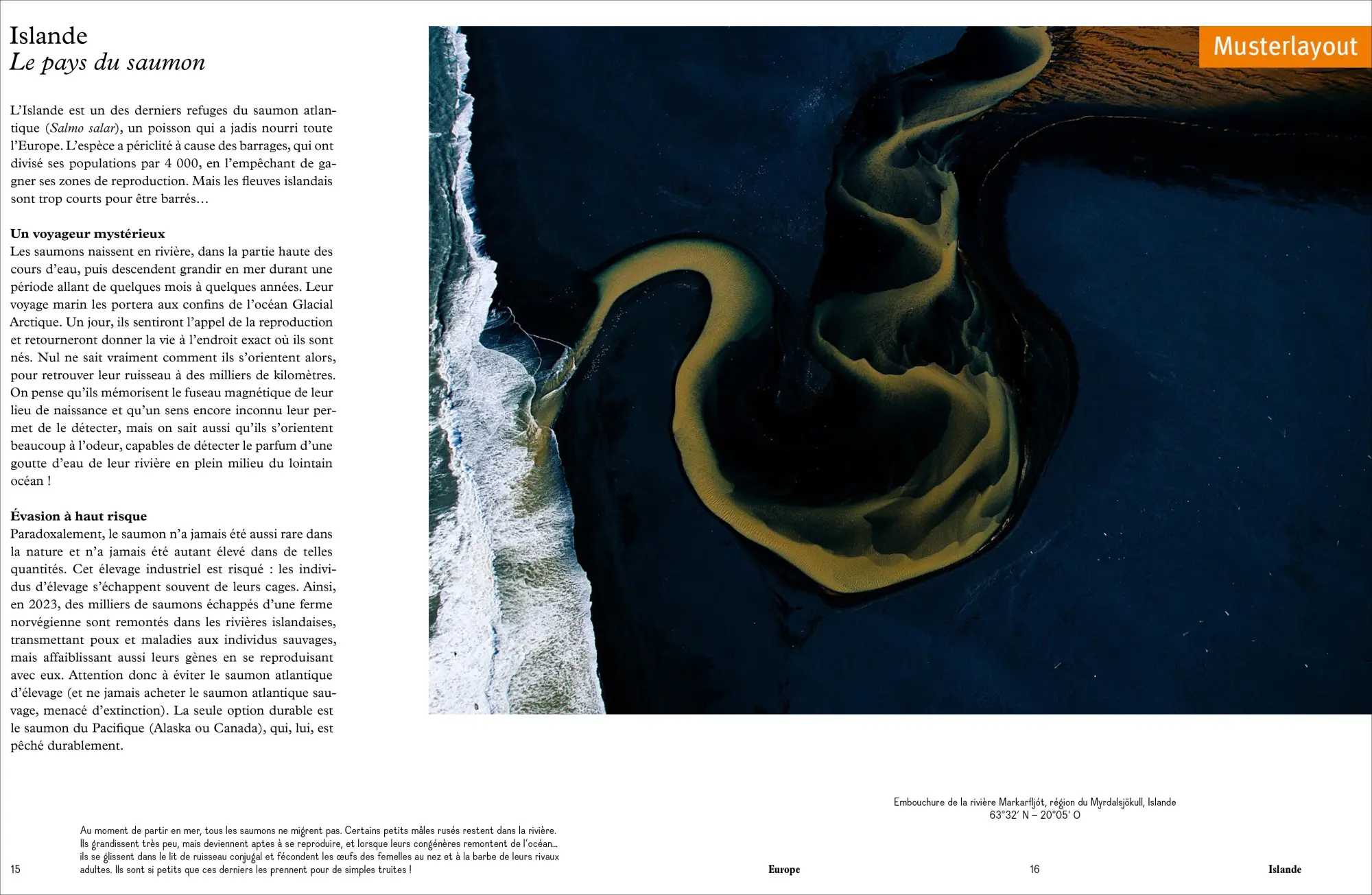 Bild: 9783954164622 | Das Wasser der Erde | Yann Arthus-Bertrand (u. a.) | Buch | 256 S.