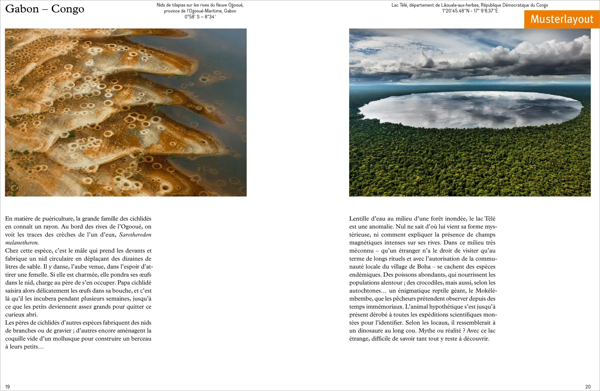 Bild: 9783954164622 | Das Wasser der Erde | Yann Arthus-Bertrand (u. a.) | Buch | 256 S.