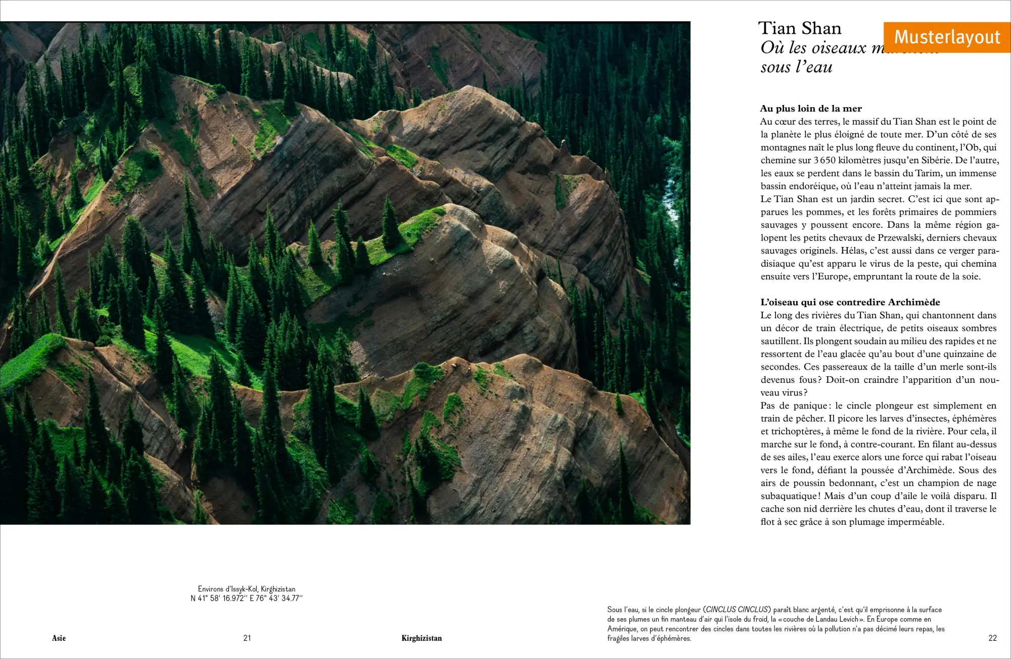 Bild: 9783954164622 | Das Wasser der Erde | Yann Arthus-Bertrand (u. a.) | Buch | 256 S.