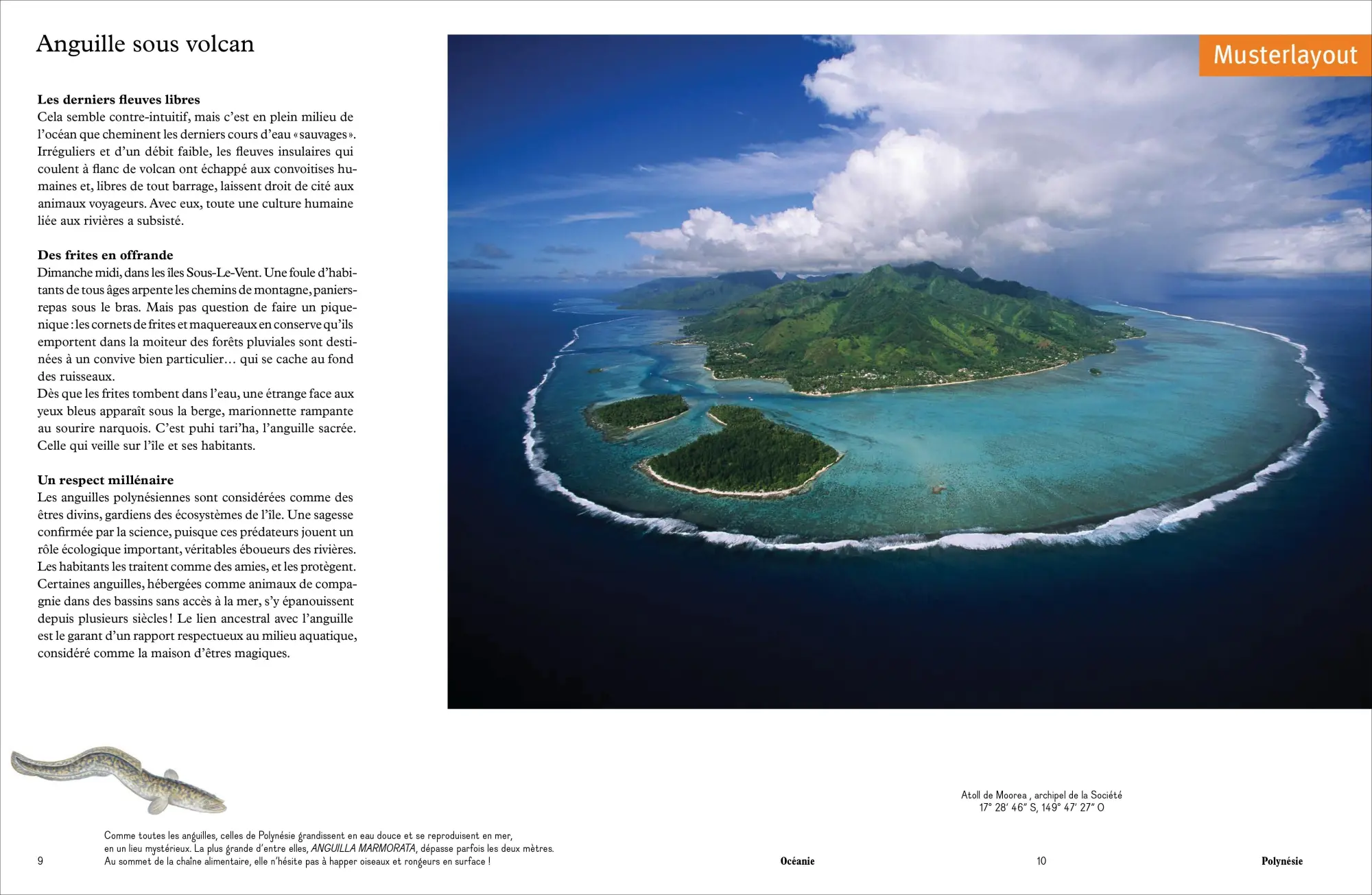 Bild: 9783954164622 | Das Wasser der Erde | Yann Arthus-Bertrand (u. a.) | Buch | 256 S.