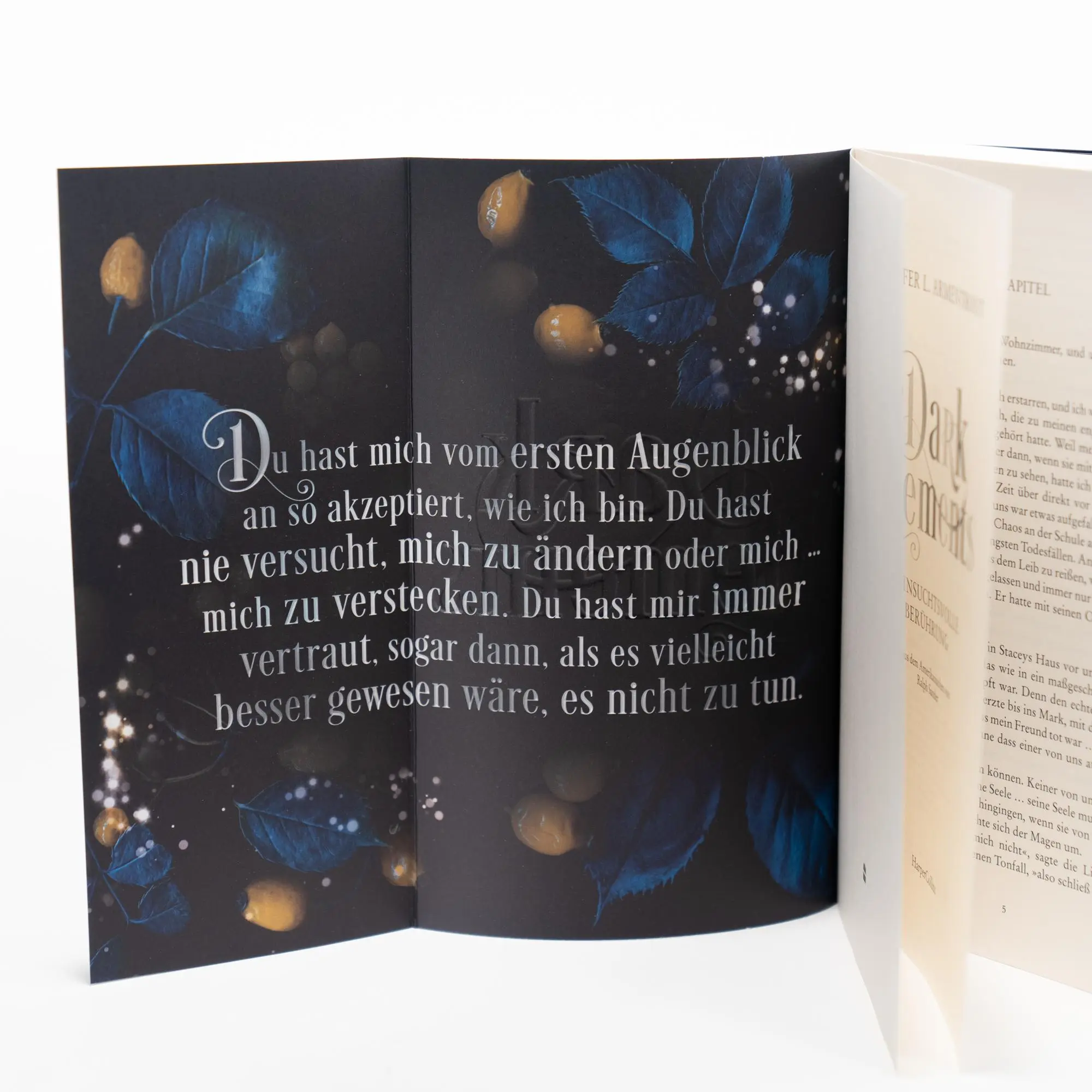 Bild: 9783365004722 | Dark Elements 3 - Sehnsuchtsvolle Berührung | Jennifer L. Armentrout