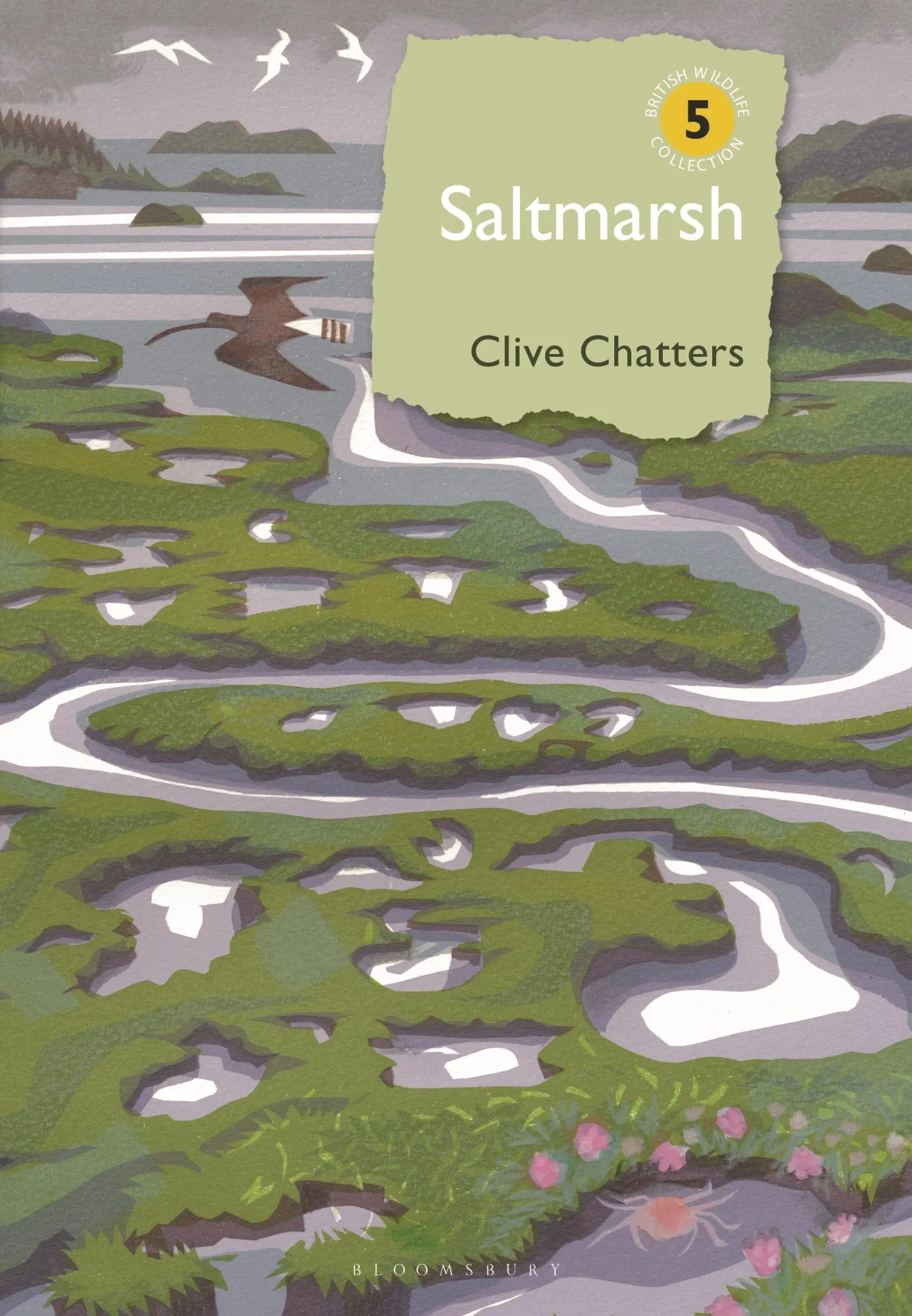 Cover: 9781399404822 | Saltmarsh | Clive Chatters | Buch | British Wildlife Collection | 2022