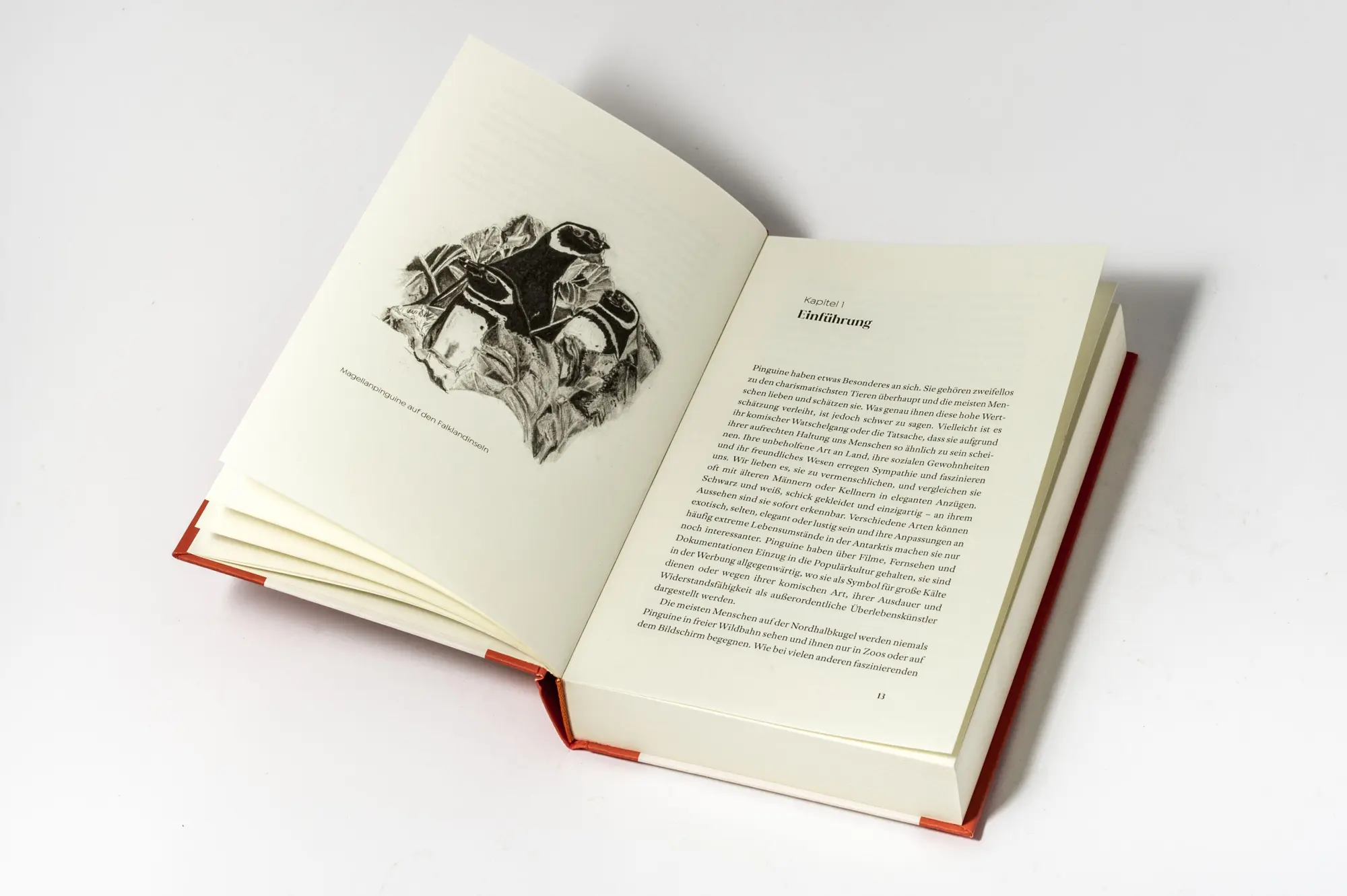 Bild: 9783328604822 | Das kleine Buch der Pinguine | Peter Fretwell (u. a.) | Buch | 304 S.