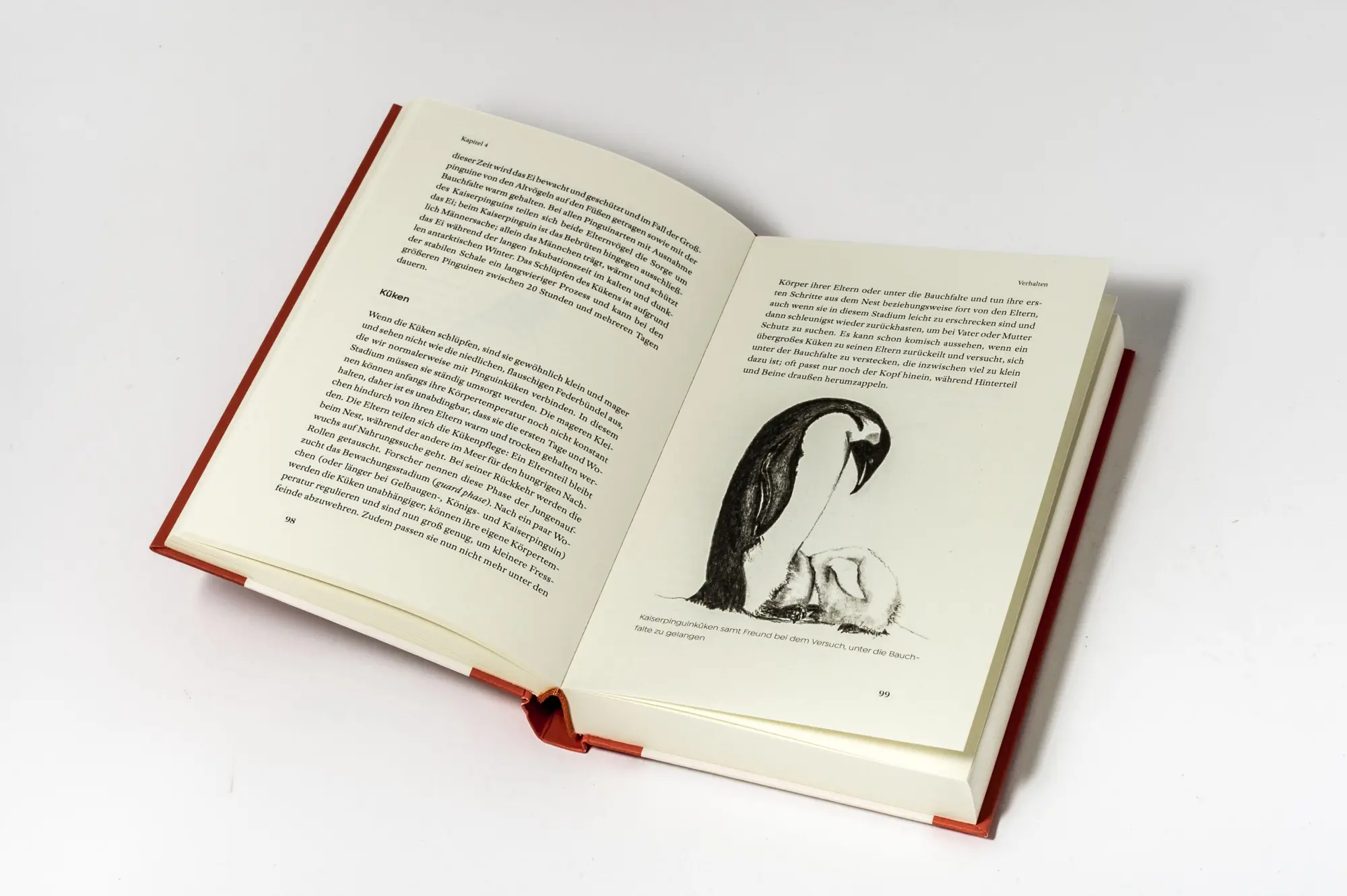 Bild: 9783328604822 | Das kleine Buch der Pinguine | Peter Fretwell (u. a.) | Buch | 304 S.