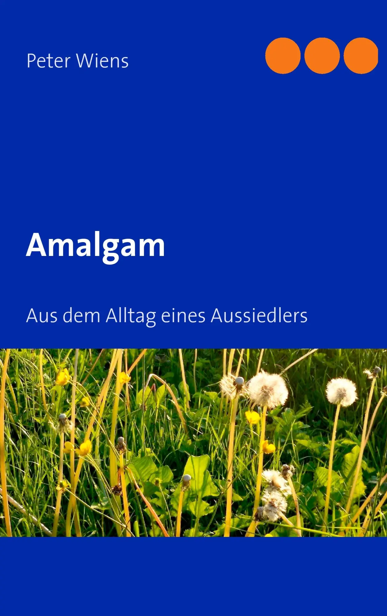 Cover: 9783842344822 | Amalgam | Aus dem Alltag eines Aussiedlers | Peter Wiens | Taschenbuch