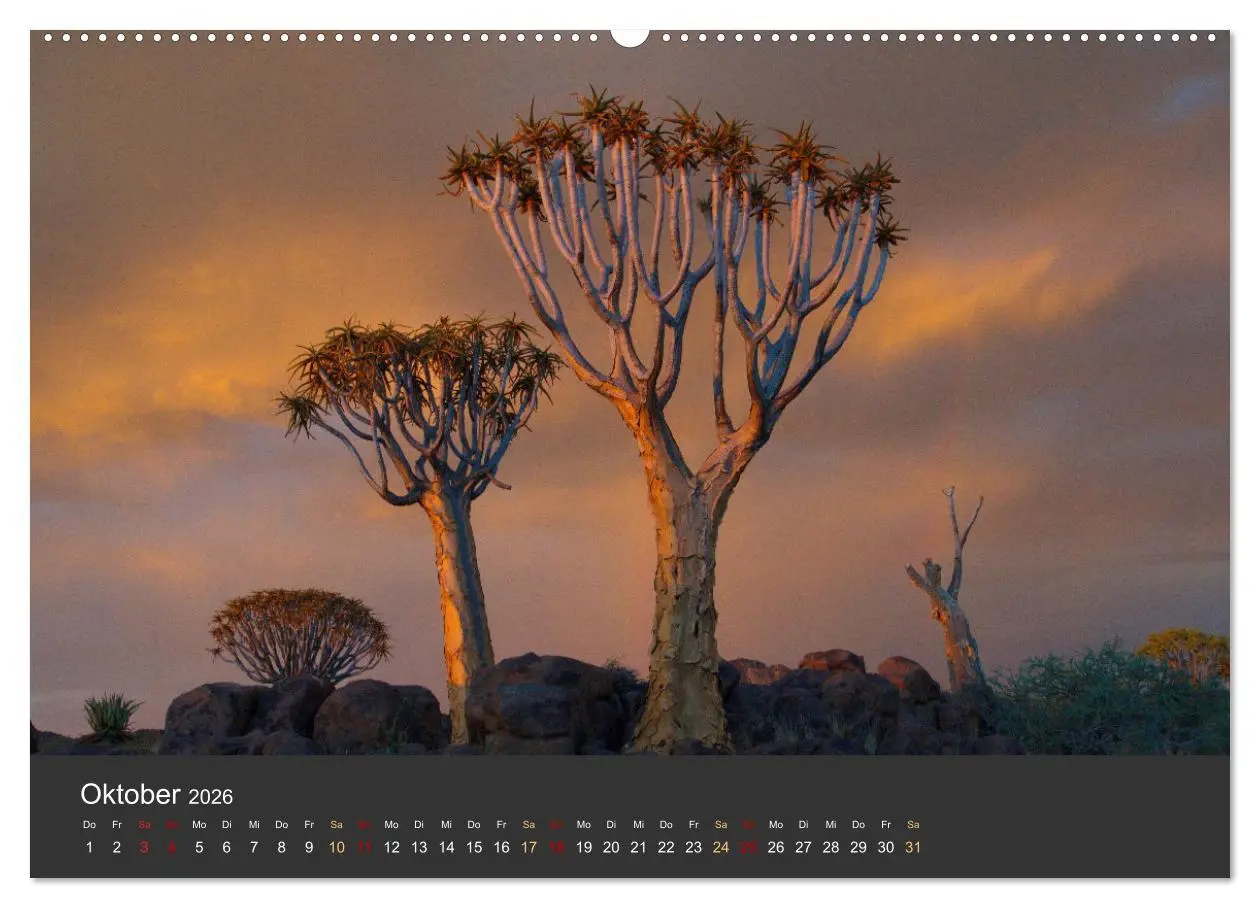 Bild: 9783457425022 | Wüstenbäume (hochwertiger Premium Wandkalender 2026 DIN A2 quer),...