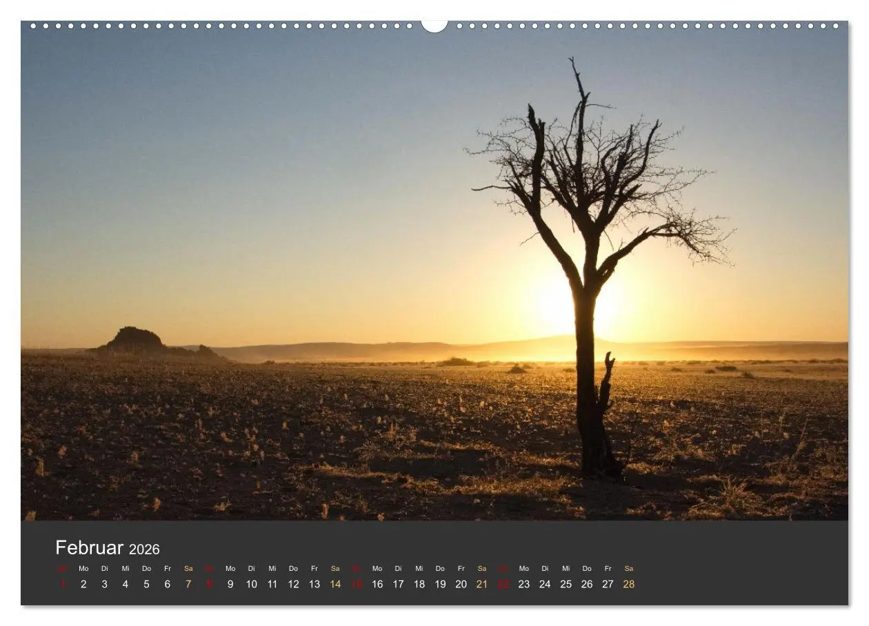 Bild: 9783457425022 | Wüstenbäume (hochwertiger Premium Wandkalender 2026 DIN A2 quer),...