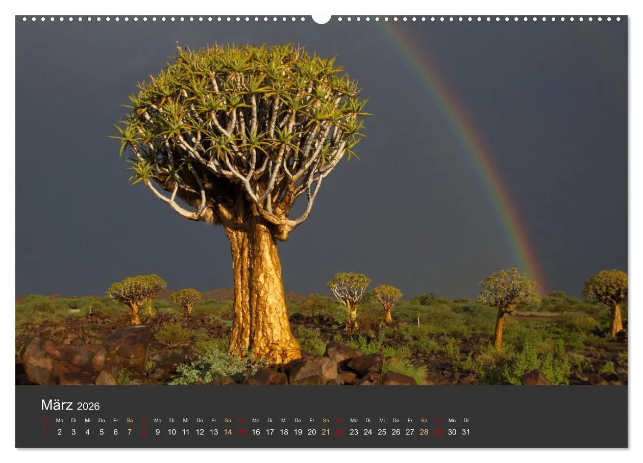 Bild: 9783457425022 | Wüstenbäume (hochwertiger Premium Wandkalender 2026 DIN A2 quer),...
