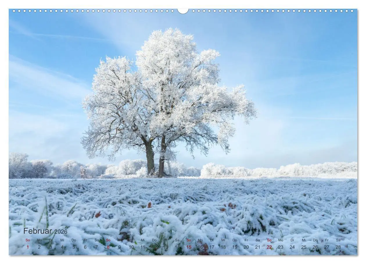 Bild: 9783457595022 | Landschaften und Natur 2026 (Wandkalender 2026 DIN A2 quer),...