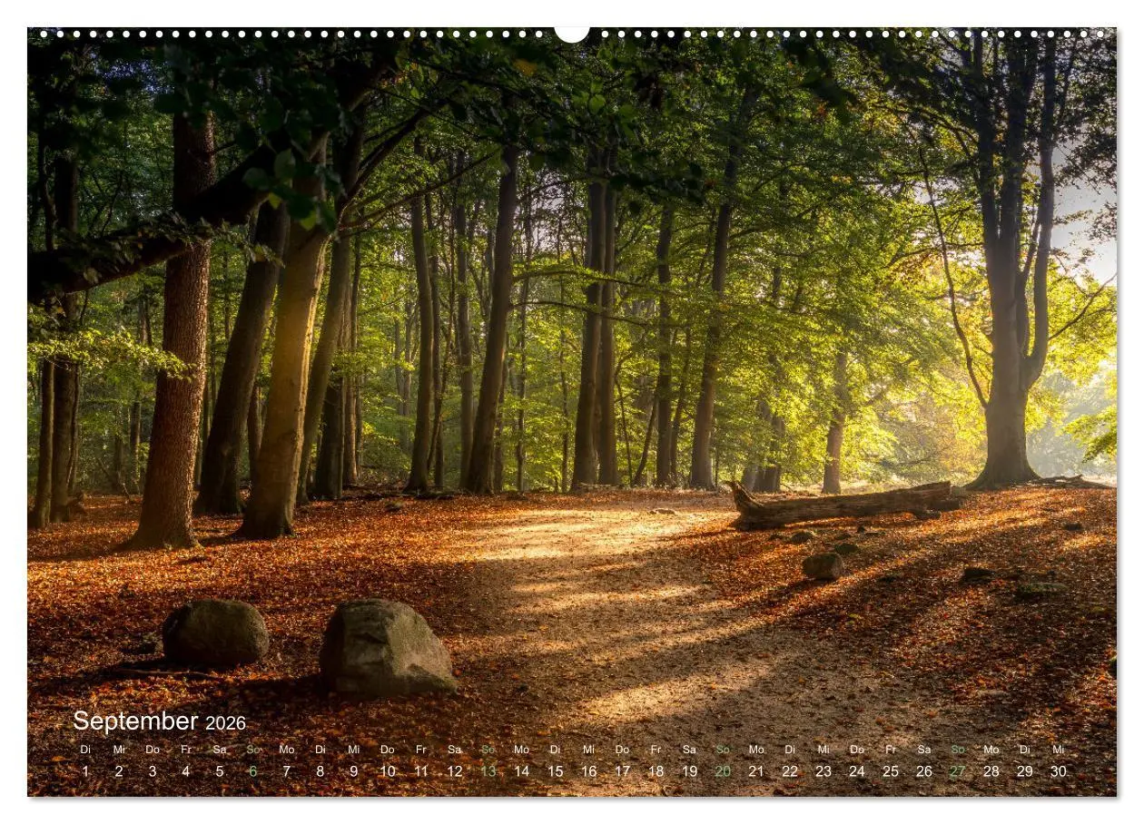 Bild: 9783457595022 | Landschaften und Natur 2026 (Wandkalender 2026 DIN A2 quer),...