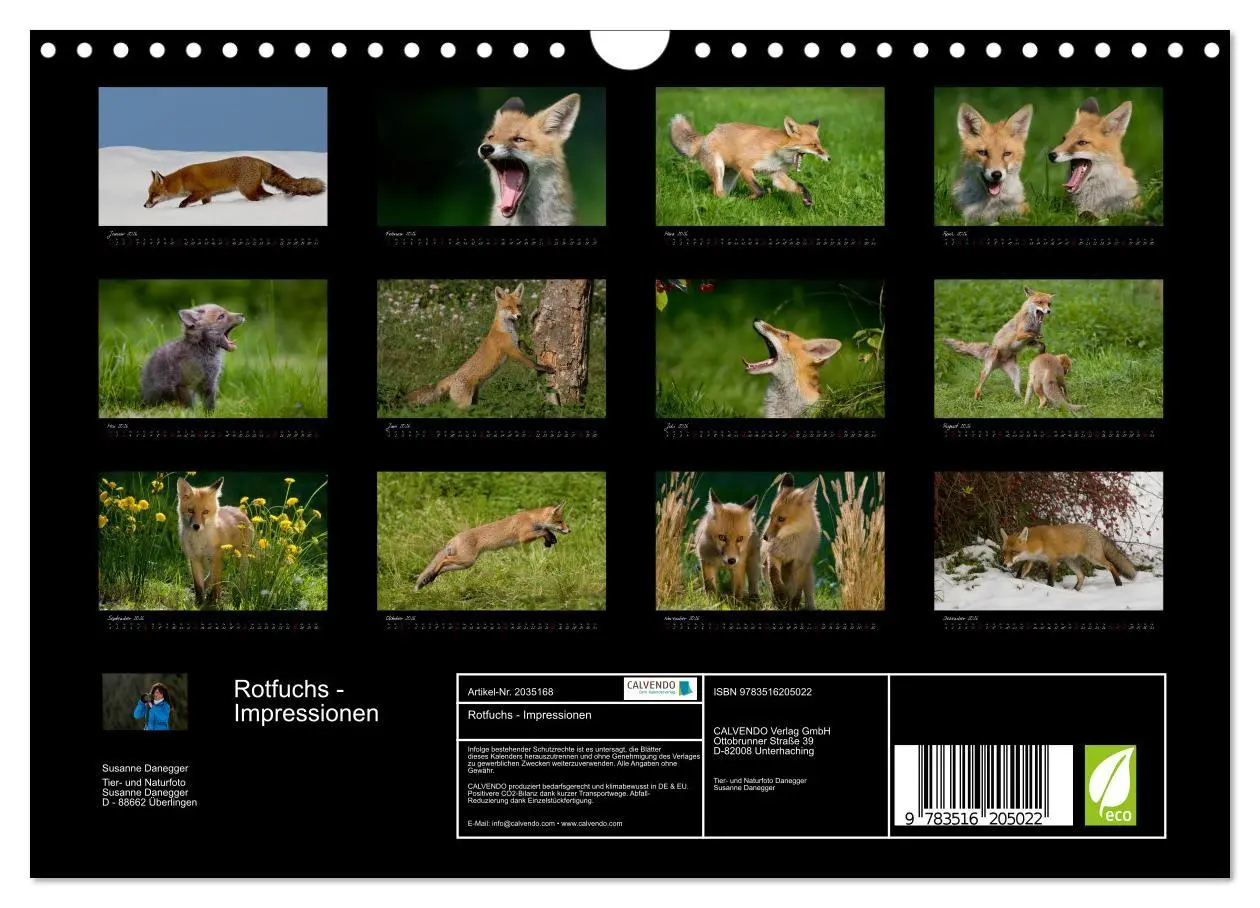 Bild: 9783516205022 | Rotfuchs - Impressionen (Wandkalender 2026 DIN A4 quer), CALVENDO...