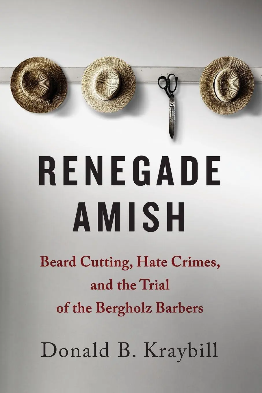 Cover: 9781421425122 | Renegade Amish | Donald B Kraybill | Taschenbuch | Englisch | 2018