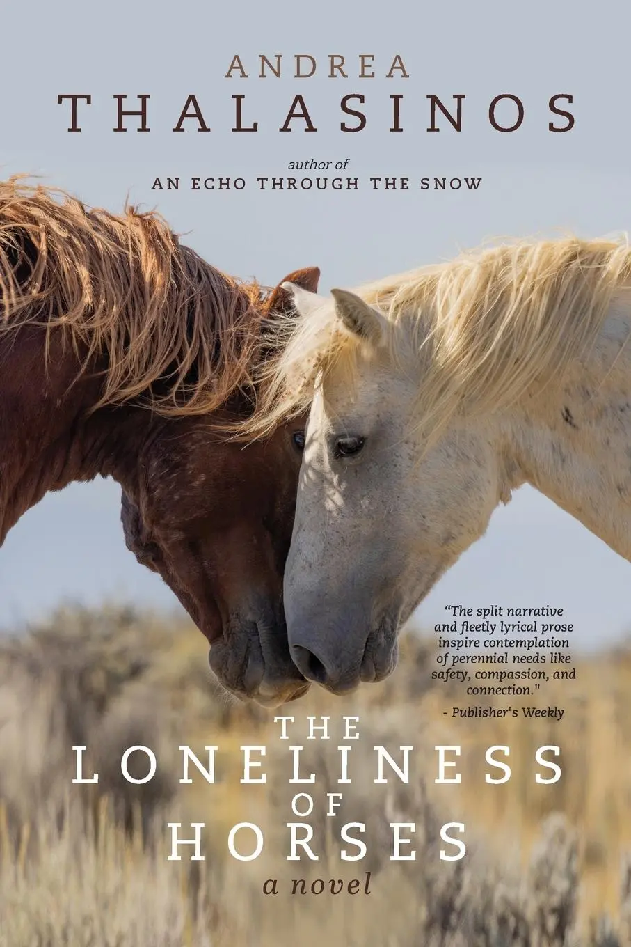 Cover: 9781961905122 | The Loneliness of Horses | Andrea Thalasinos | Taschenbuch | Englisch