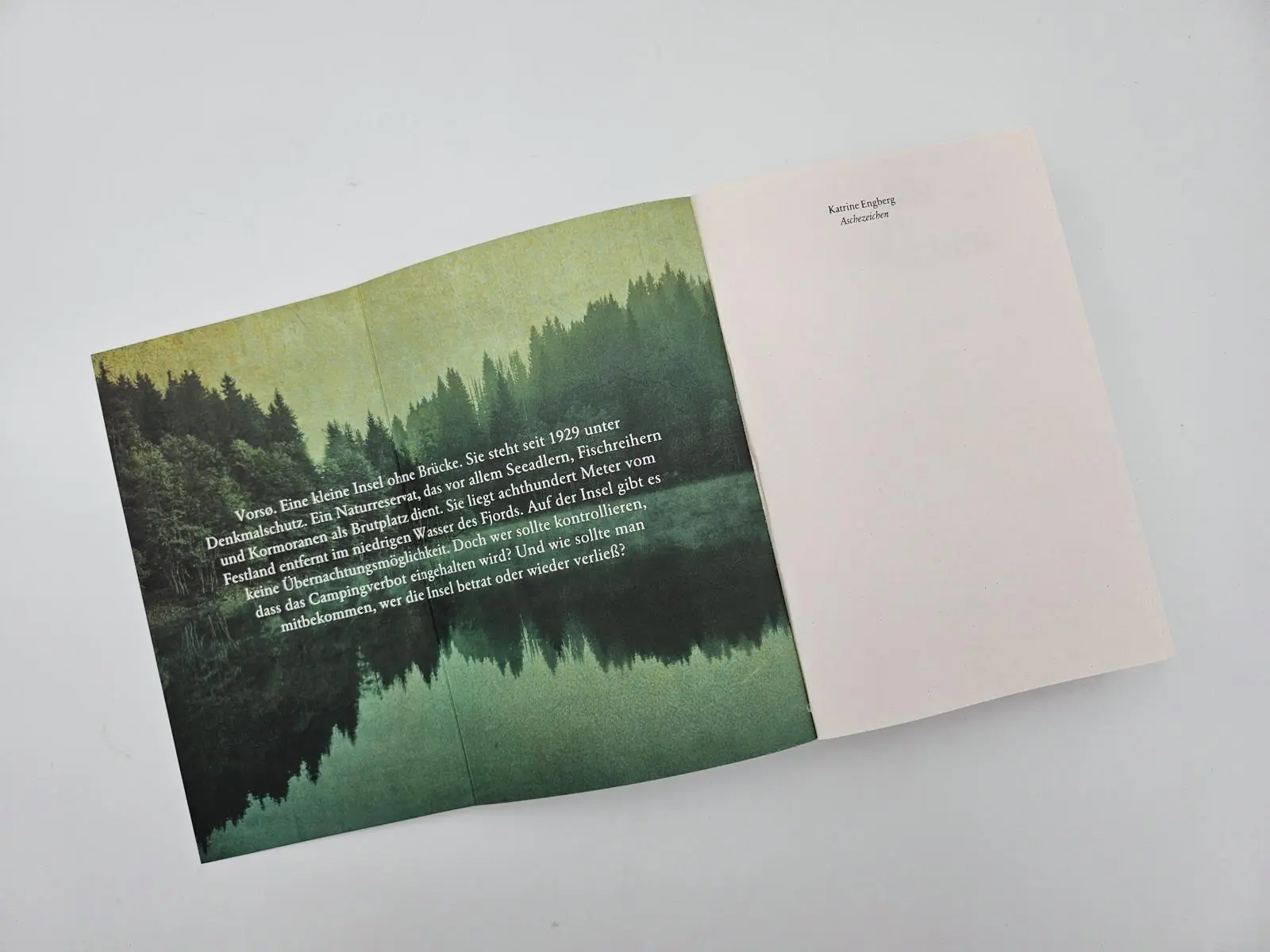 Bild: 9783492065122 | Aschezeichen | Katrine Engberg | Taschenbuch | Liv-Jensen-Reihe | 2024