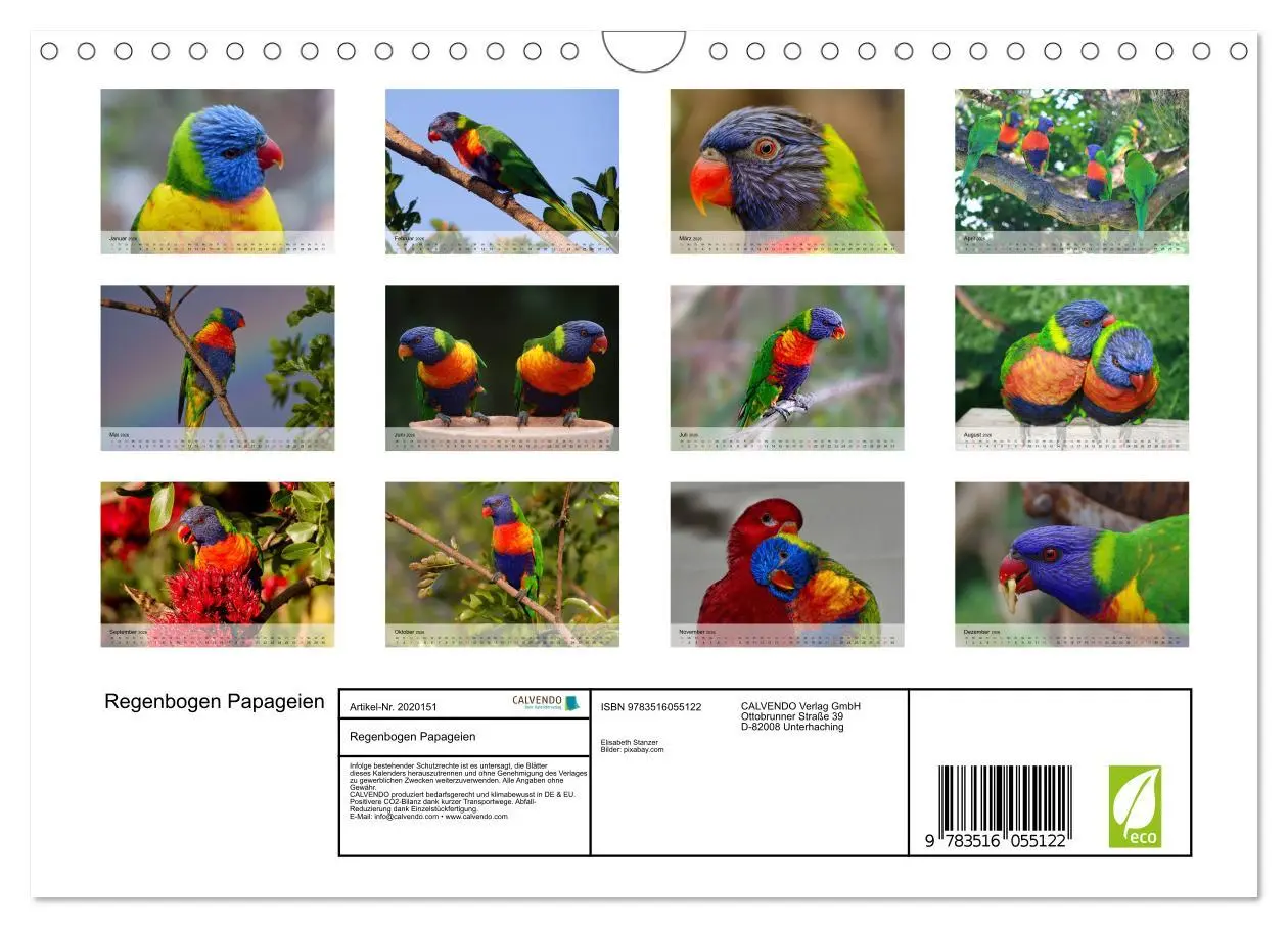 Bild: 9783516055122 | Regenbogen Papageien (Wandkalender 2026 DIN A4 quer), CALVENDO...