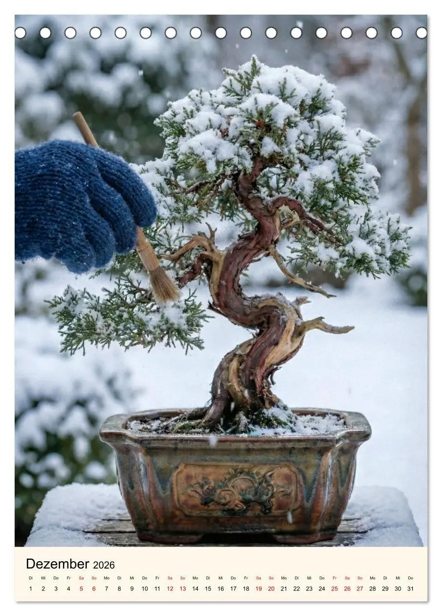 Bild: 9783516745122 | Spirit of Bonsai - Japanische Meisterwerke 2026 (Tischkalender 2026...