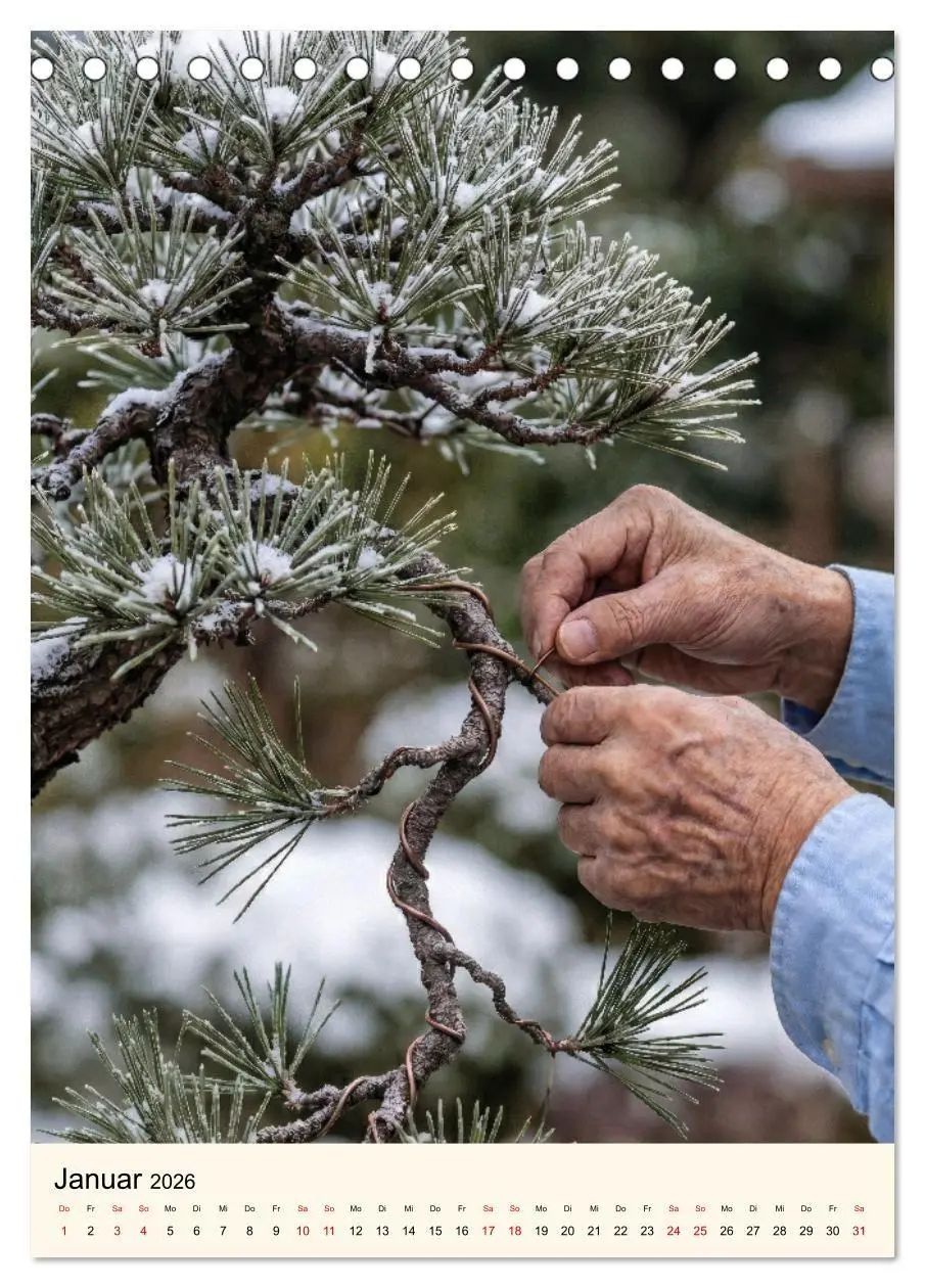 Bild: 9783516745122 | Spirit of Bonsai - Japanische Meisterwerke 2026 (Tischkalender 2026...