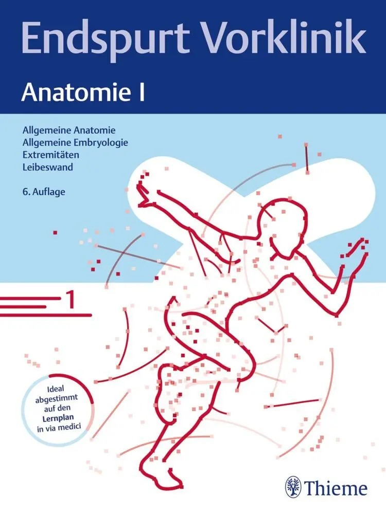 Cover: 9783132445222 | Endspurt Vorklinik: Anatomie I | Taschenbuch | Broschiert (KB) | 2023