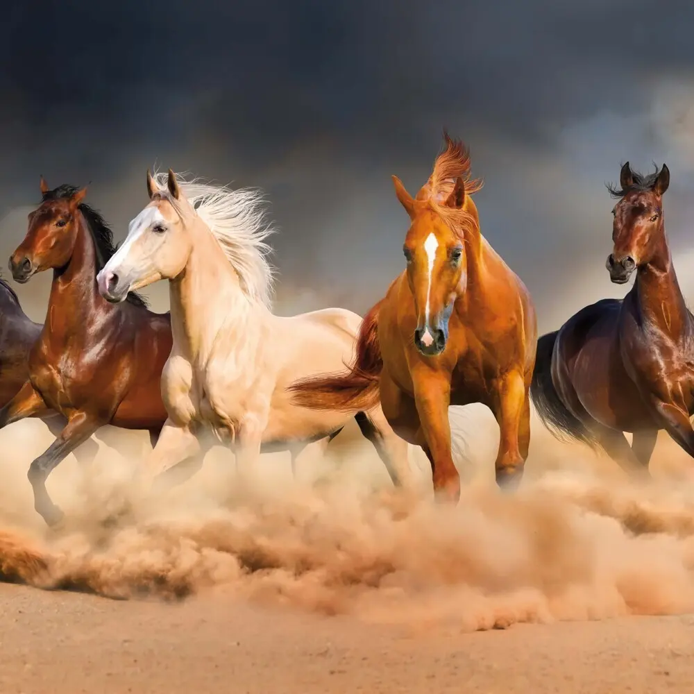 Bild: 9783959295222 | Magic Horses 2026 | Kalender 2026 | Kalender | Drahtheftung | Englisch
