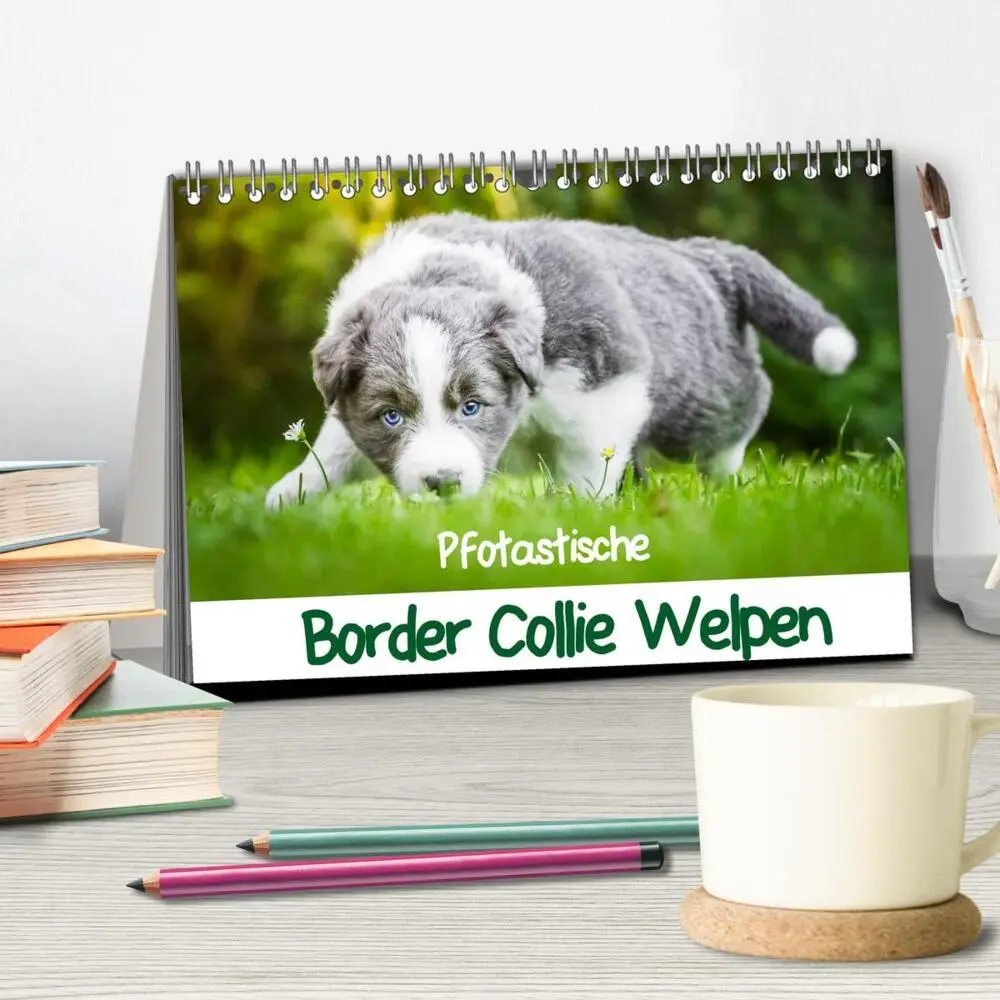 Bild: 9783435615322 | Pfotastische Border Collie Welpen (Tischkalender 2025 DIN A5 quer),...