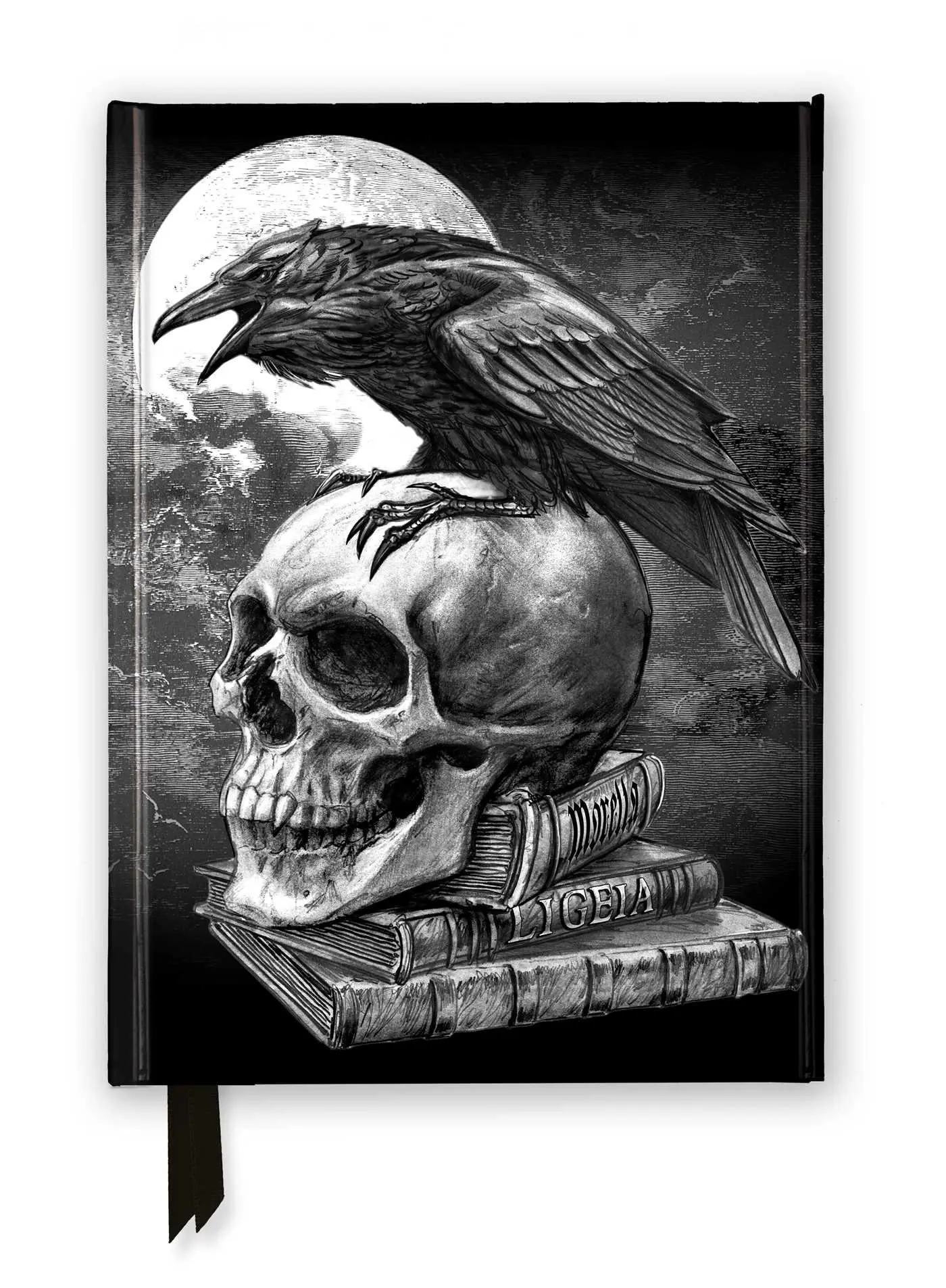 Cover: 9781835625422 | Alchemy: Poe's Raven (Foiled Journal) | Flame Tree Publishing | Buch