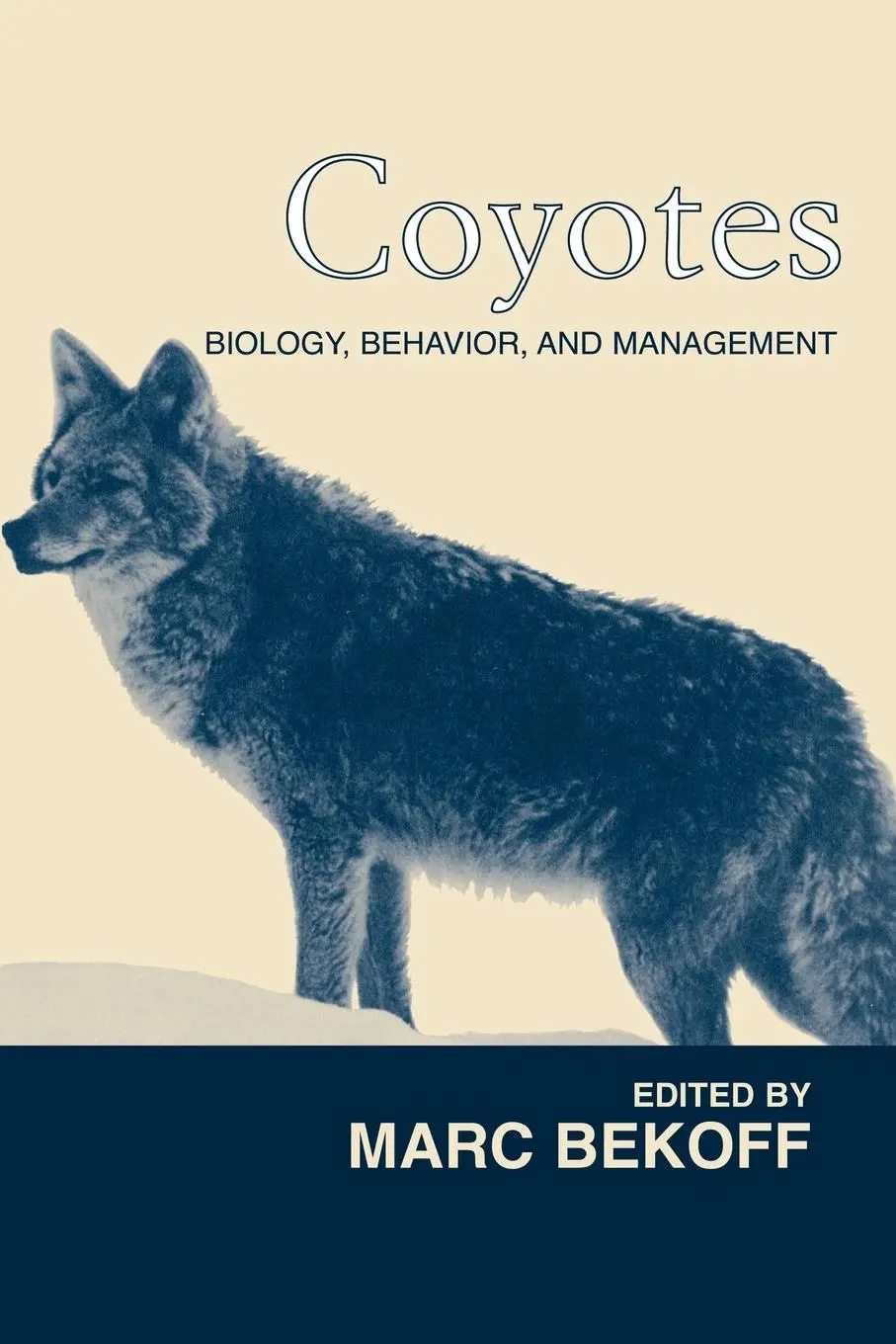 Cover: 9781930665422 | Coyotes | Biology, Behavior and Management | Marc Bekoff | Taschenbuch