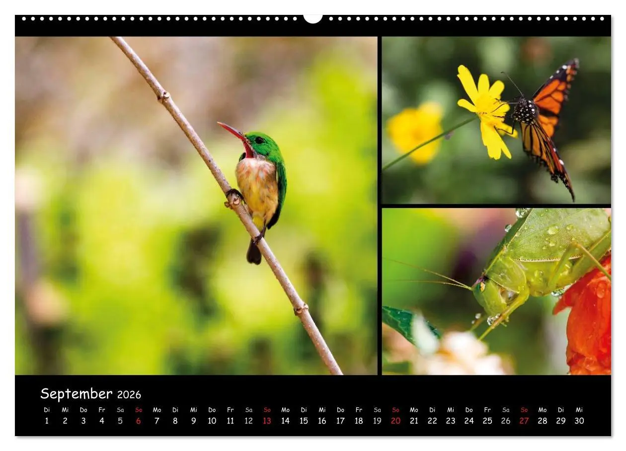 Bild: 9783516025422 | Dominikanische Republik Land &amp; Leute (Wandkalender 2026 DIN A2...