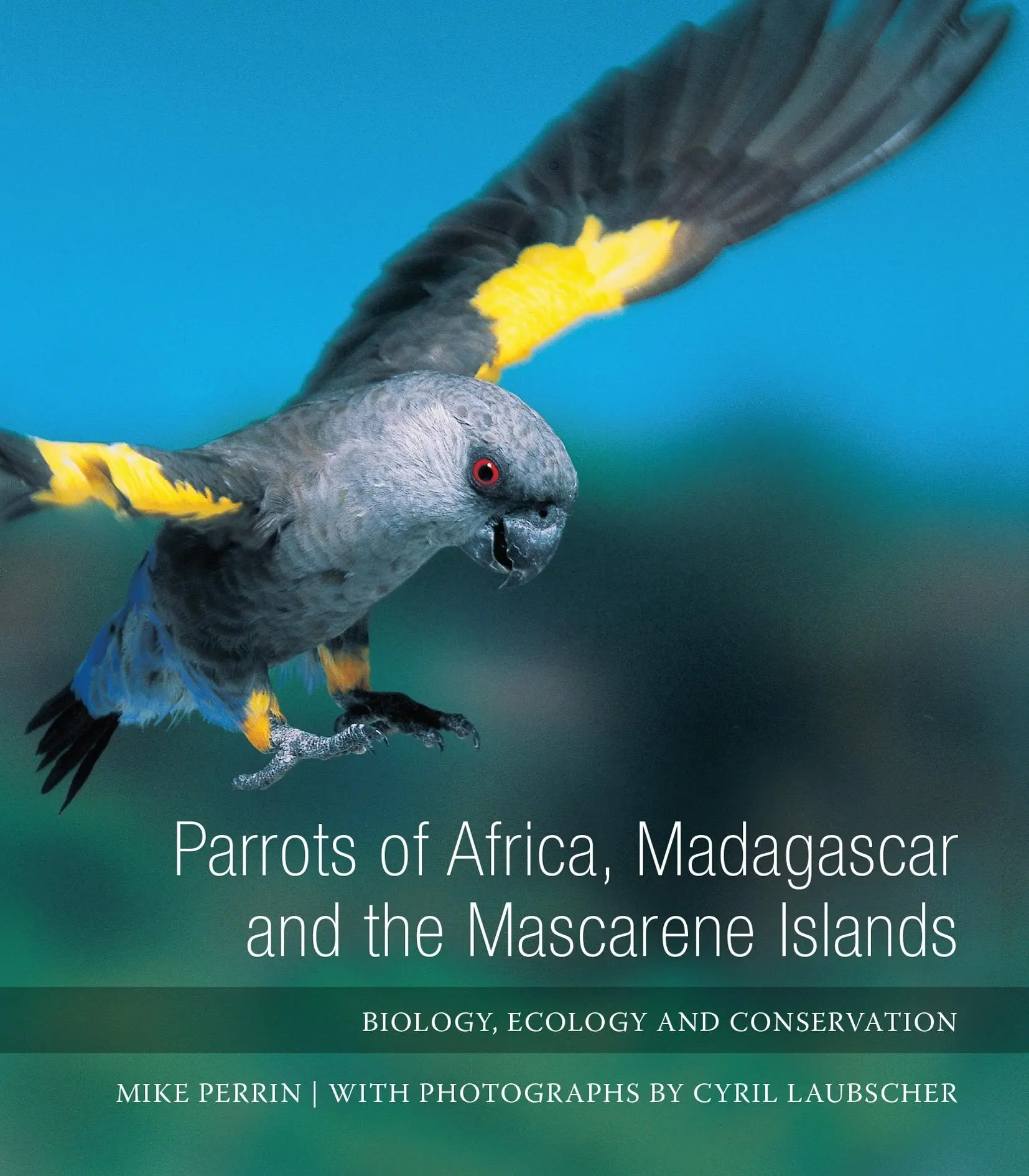 Cover: 9781868145522 | Parrots of Africa, Madagascar and the Mascarene Islands | Buch | 2012