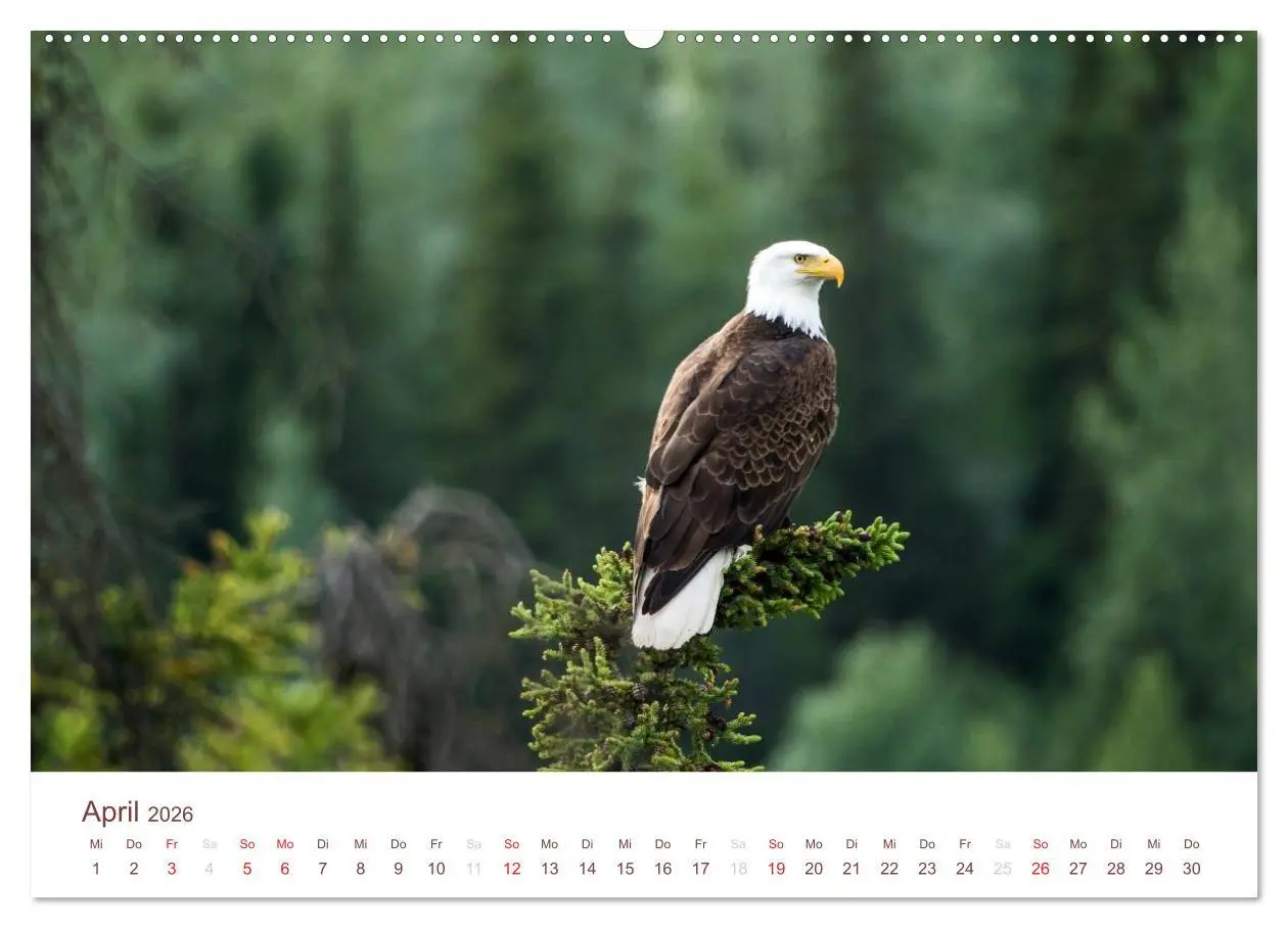 Bild: 9783516185522 | Der Alaska Kalender (hochwertiger Premium Wandkalender 2026 DIN A2...