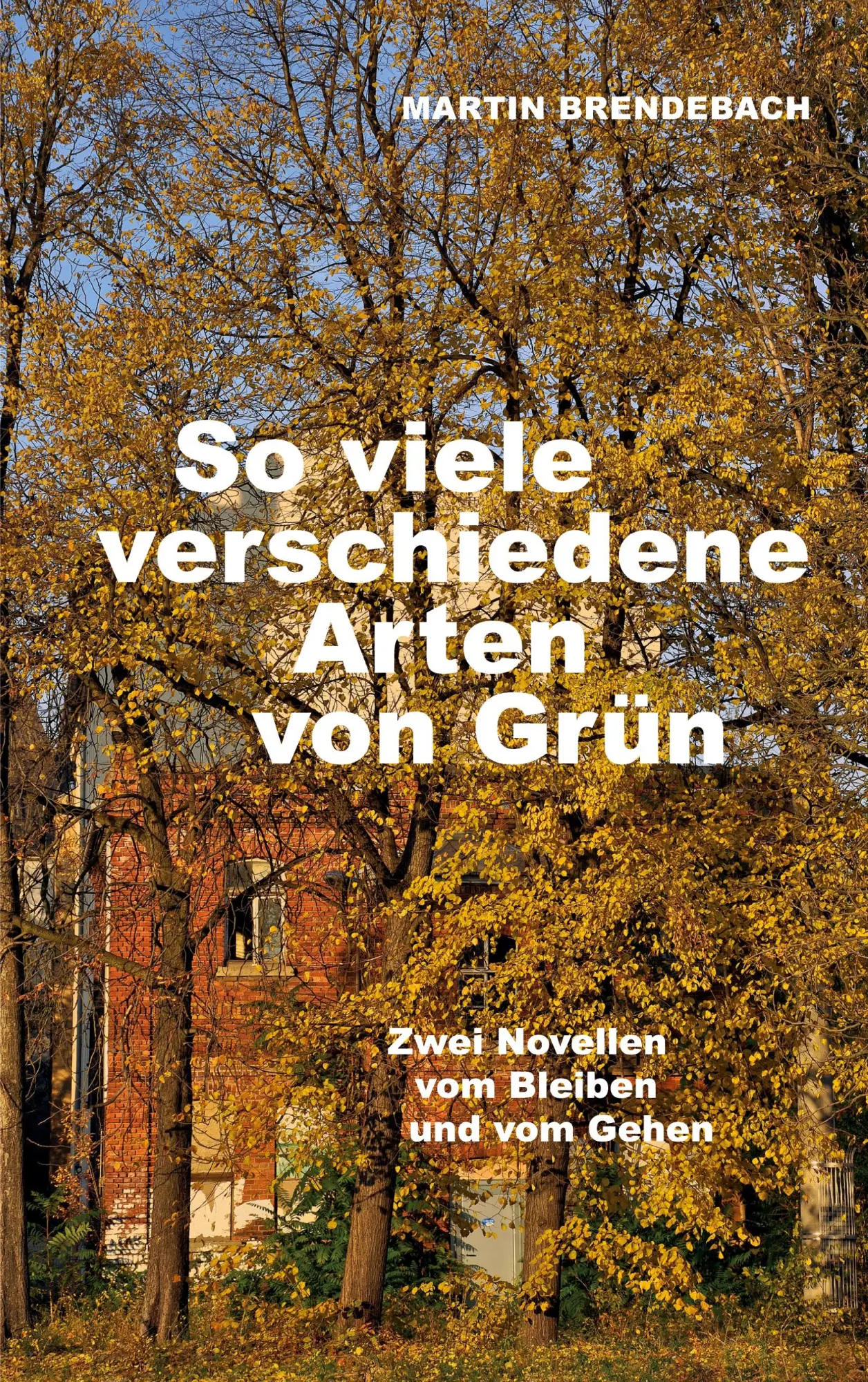 Cover: 9783819295522 | So viele verschiedene Arten von Grün | Martin Brendebach | Taschenbuch