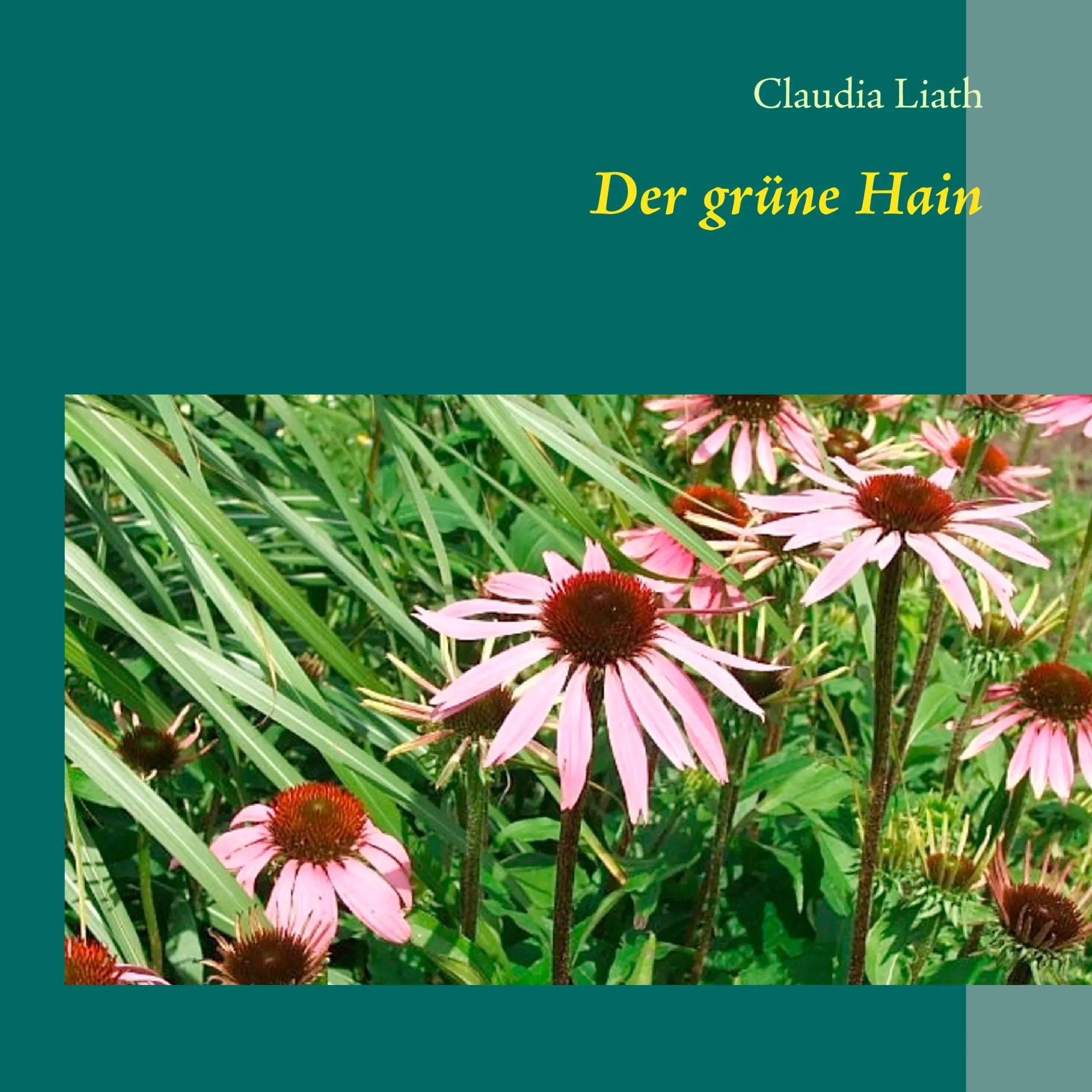 Cover: 9783848215522 | Der grüne Hain | Claudia Liath | Taschenbuch | 228 S. | Deutsch | 2012