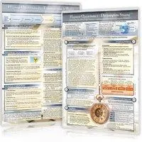 Cover: 7101423055622 | [2er Set] Hypnose Quickfinder - Duo-Set Teil 1&amp;2 (2024), 2 Teile | Box