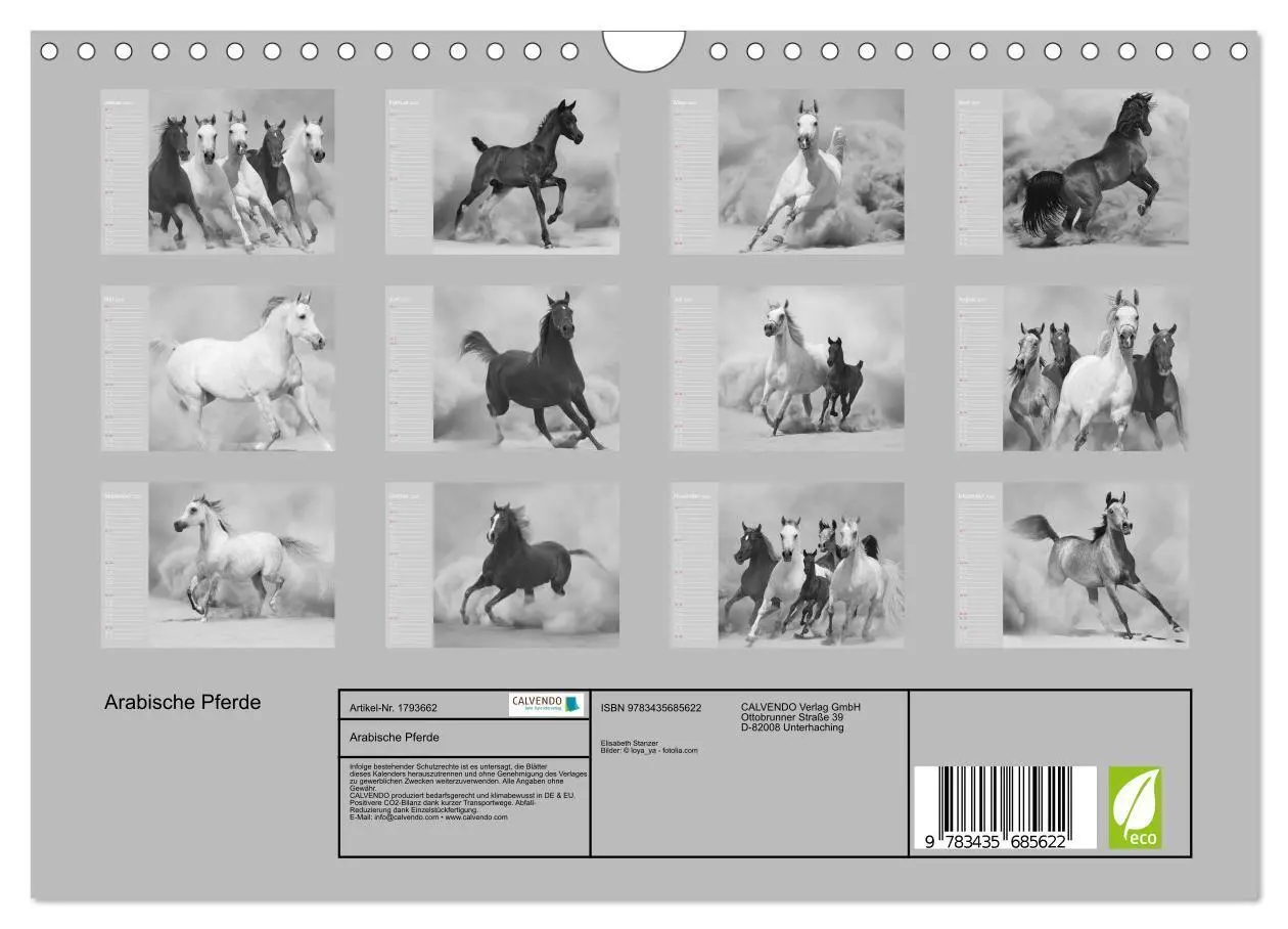 Bild: 9783435685622 | Arabische Pferde (Wandkalender 2025 DIN A4 quer), CALVENDO...