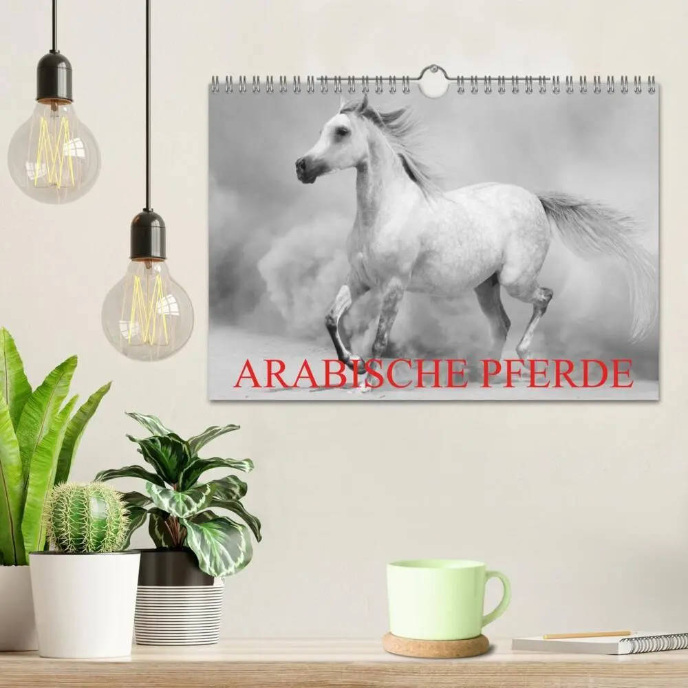 Bild: 9783435685622 | Arabische Pferde (Wandkalender 2025 DIN A4 quer), CALVENDO...
