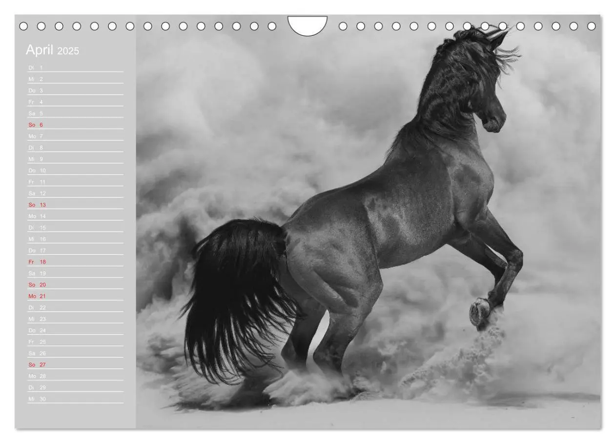Bild: 9783435685622 | Arabische Pferde (Wandkalender 2025 DIN A4 quer), CALVENDO...