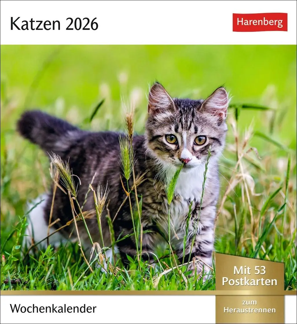 Cover: 9783840035722 | Katzen Postkartenkalender 2026 - Wochenkalender mit 53 Postkarten