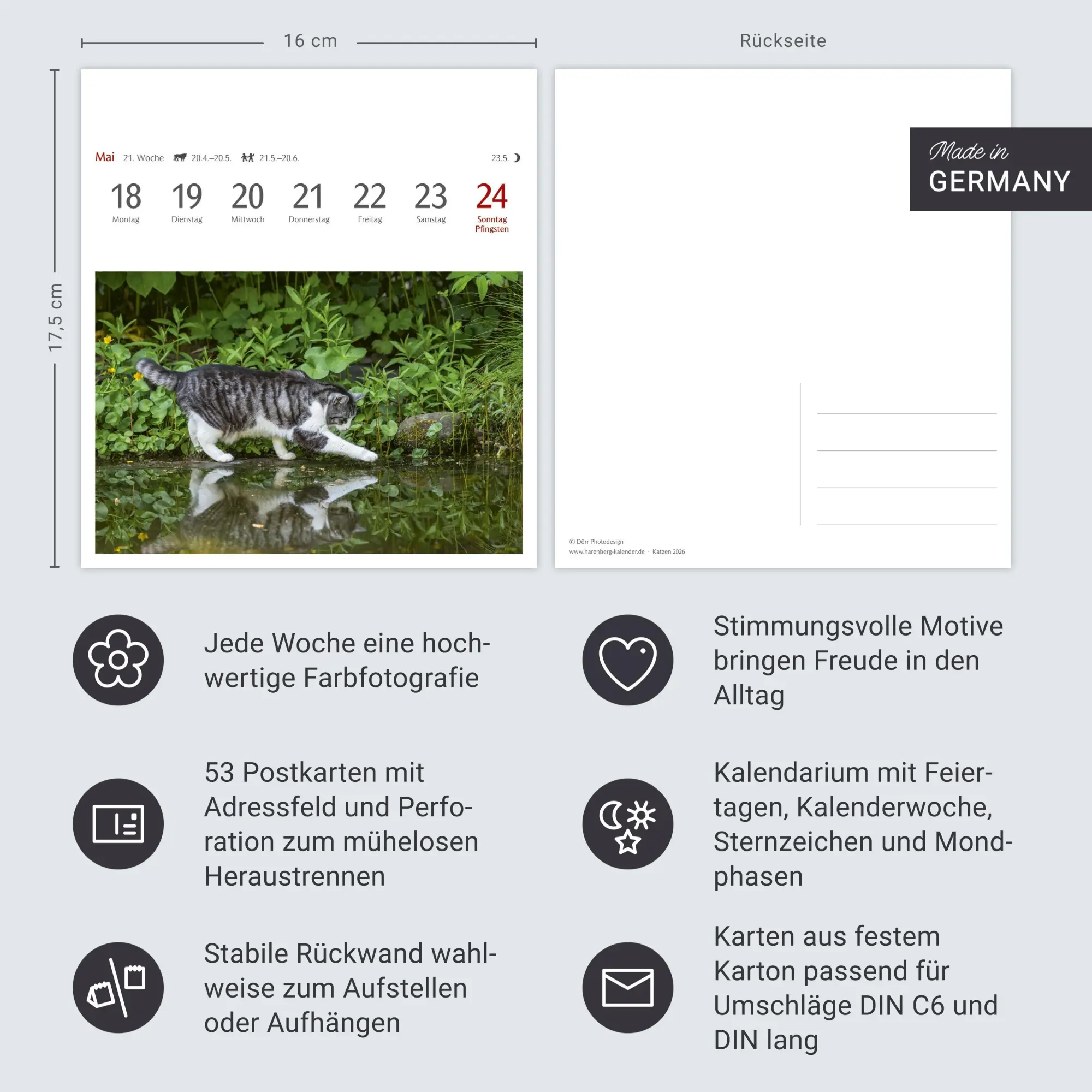 Bild: 9783840035722 | Katzen Postkartenkalender 2026 - Wochenkalender mit 53 Postkarten