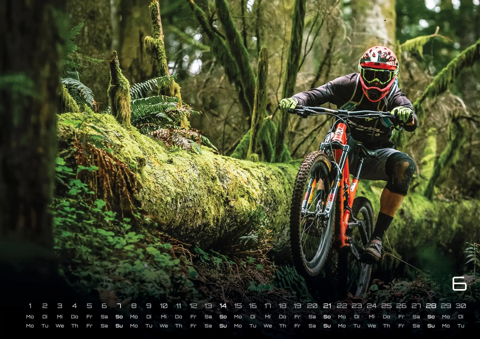 Bild: 9783986735722 | MTB Mountainbike - 2026 - Kalender DIN A2 | GP-Fever. de | Kalender