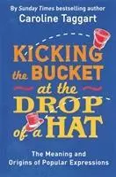 Cover: 9781782435822 | Kicking the Bucket at the Drop of a Hat | Caroline Taggart | Buch